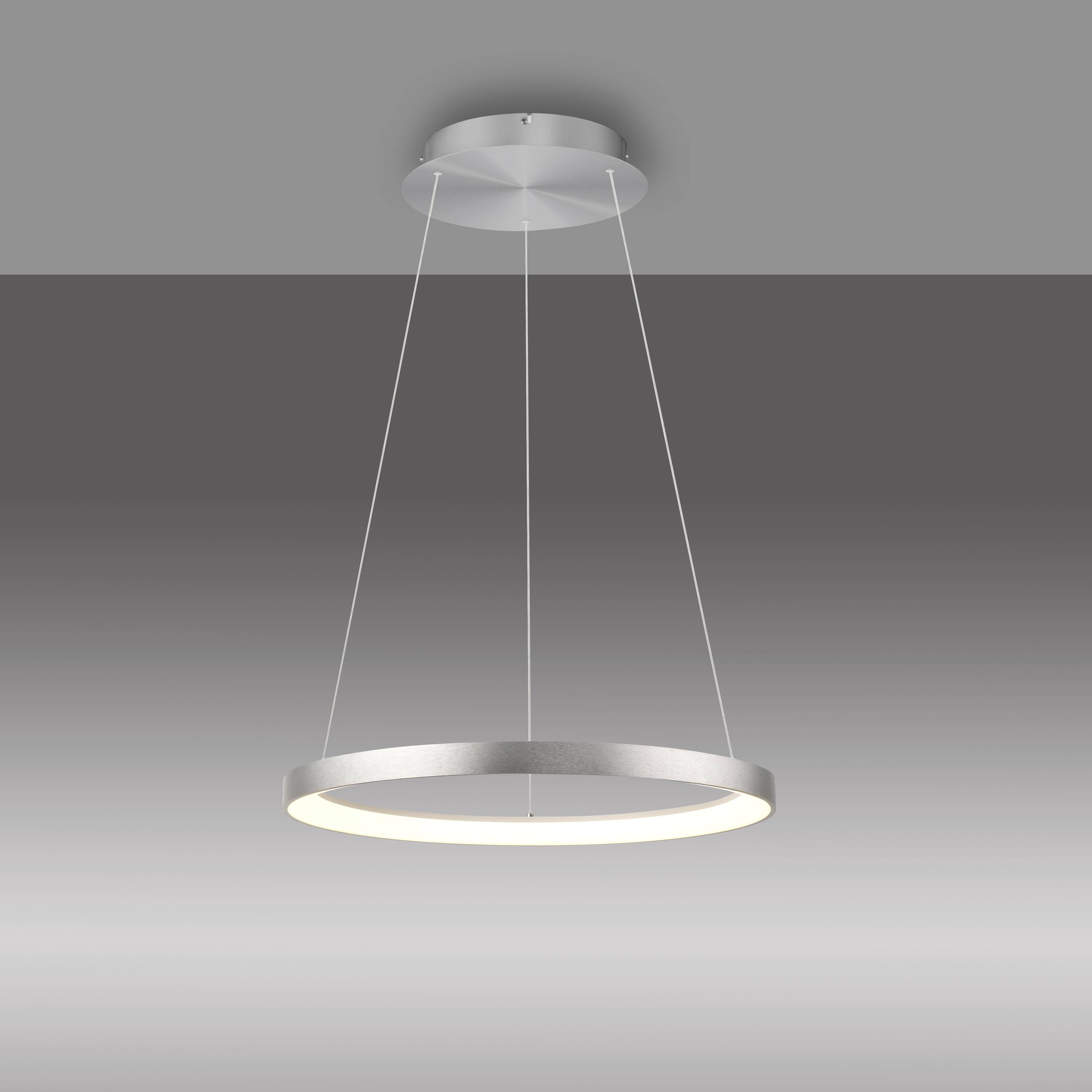 Paul Neuhaus HOOP 2851-95 LED-Pendelleuchte LED LED fest eingebaut 37W Aluminium