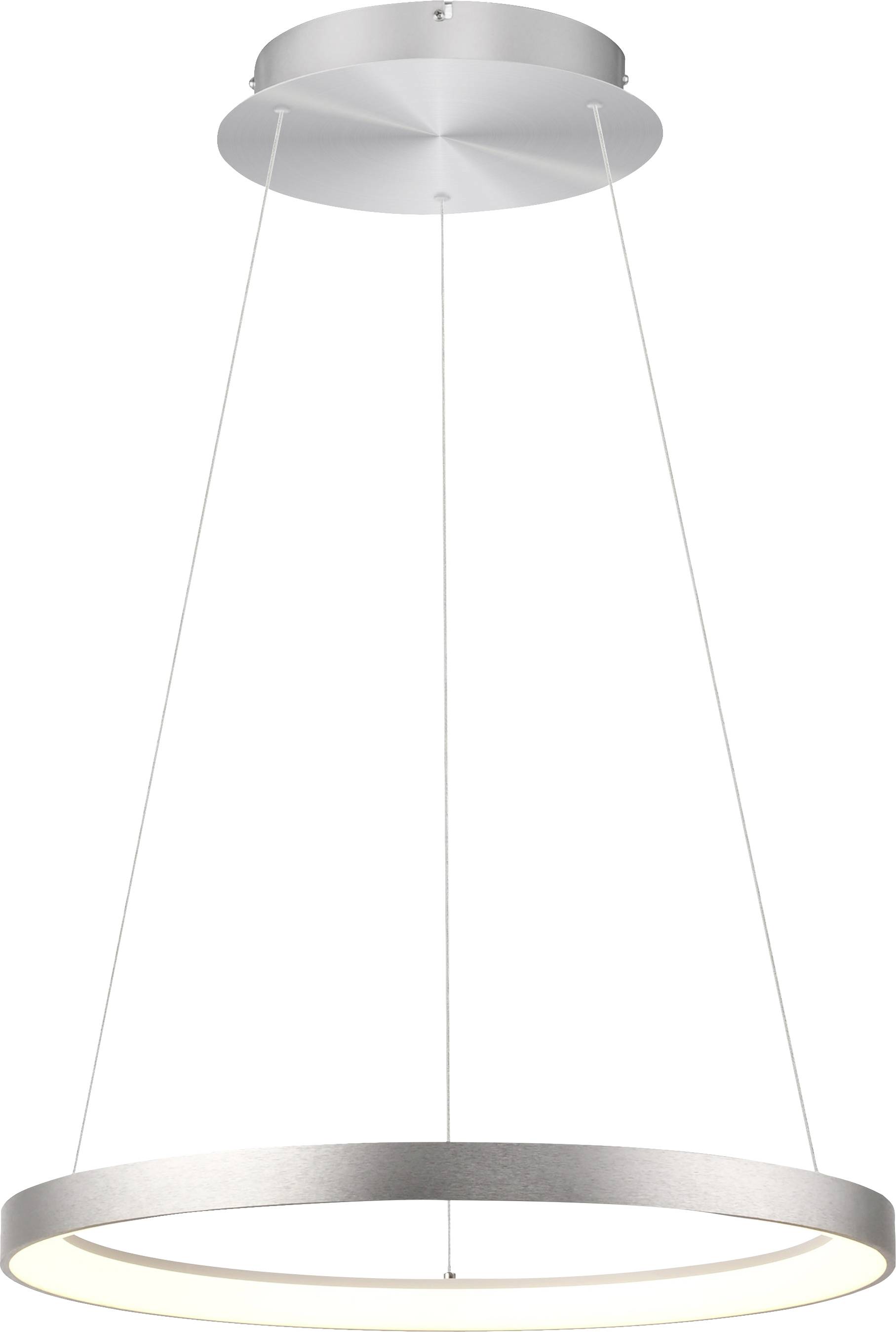 Paul Neuhaus HOOP 2851-95 LED-Pendelleuchte LED LED fest eingebaut 37W Aluminium