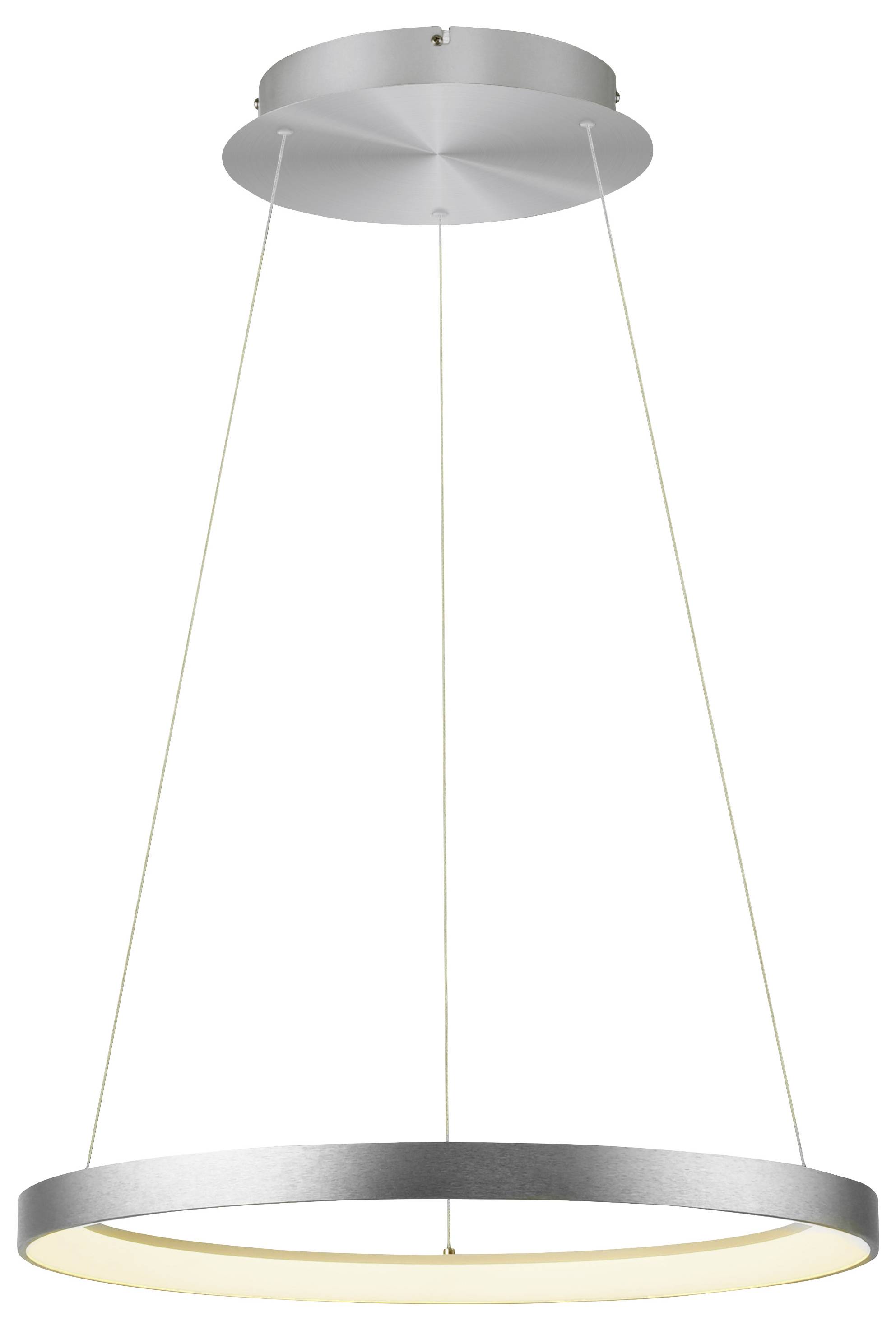 Paul Neuhaus HOOP 2851-95 LED-Pendelleuchte LED LED fest eingebaut 37W Aluminium