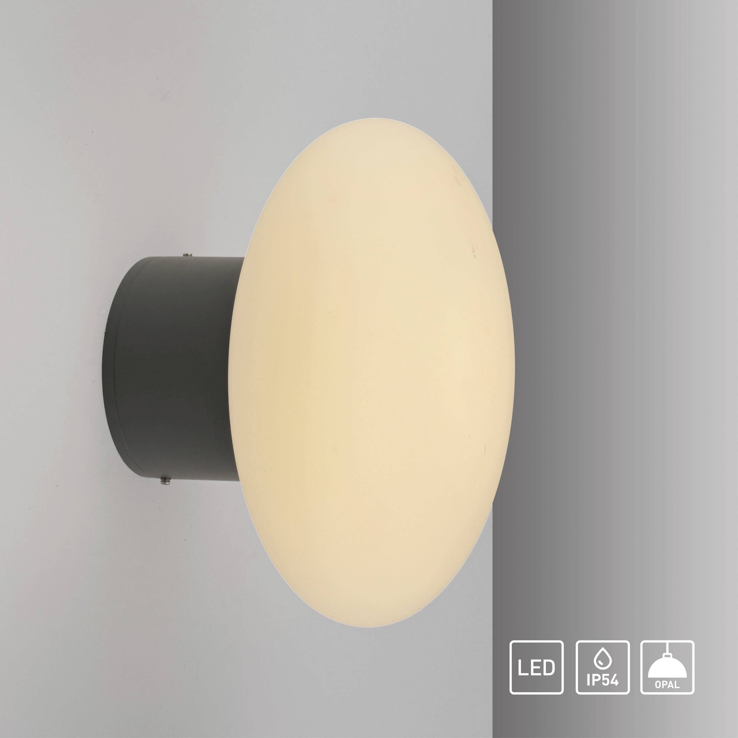 Paul Neuhaus OLAF 9468-15 LED-Wandleuchte LED fest eingebaut 5W LED Grau