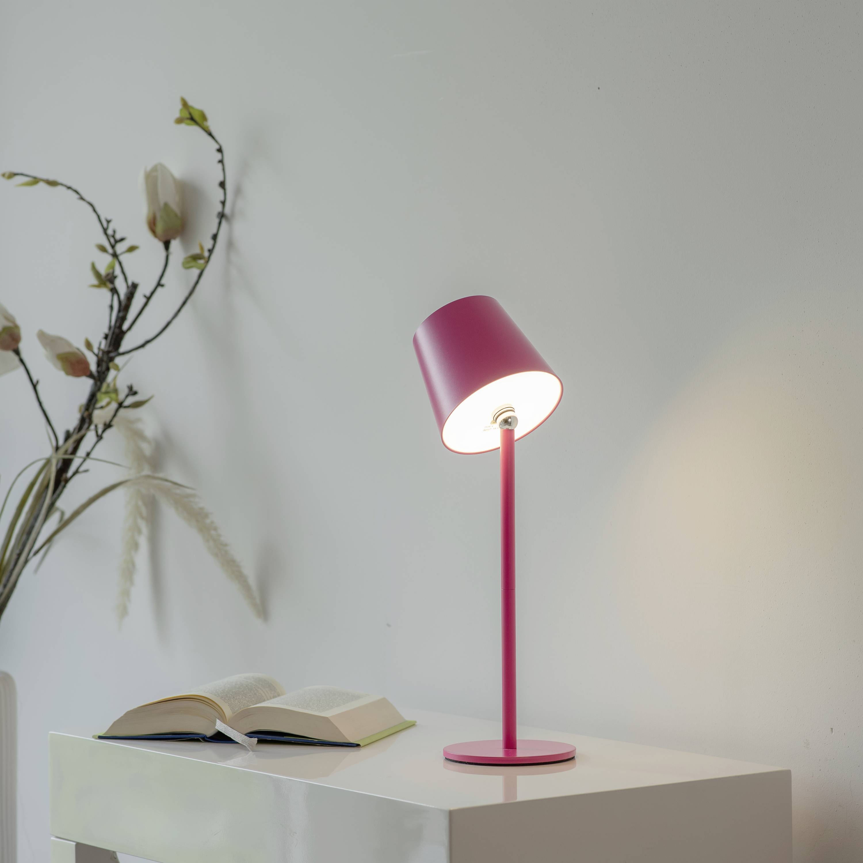 Ein Nachttisch mit roter Lampe und geöffnetem Buch darunter. Ein dekorativer Zweig mit Blüten steht im Hintergrund.