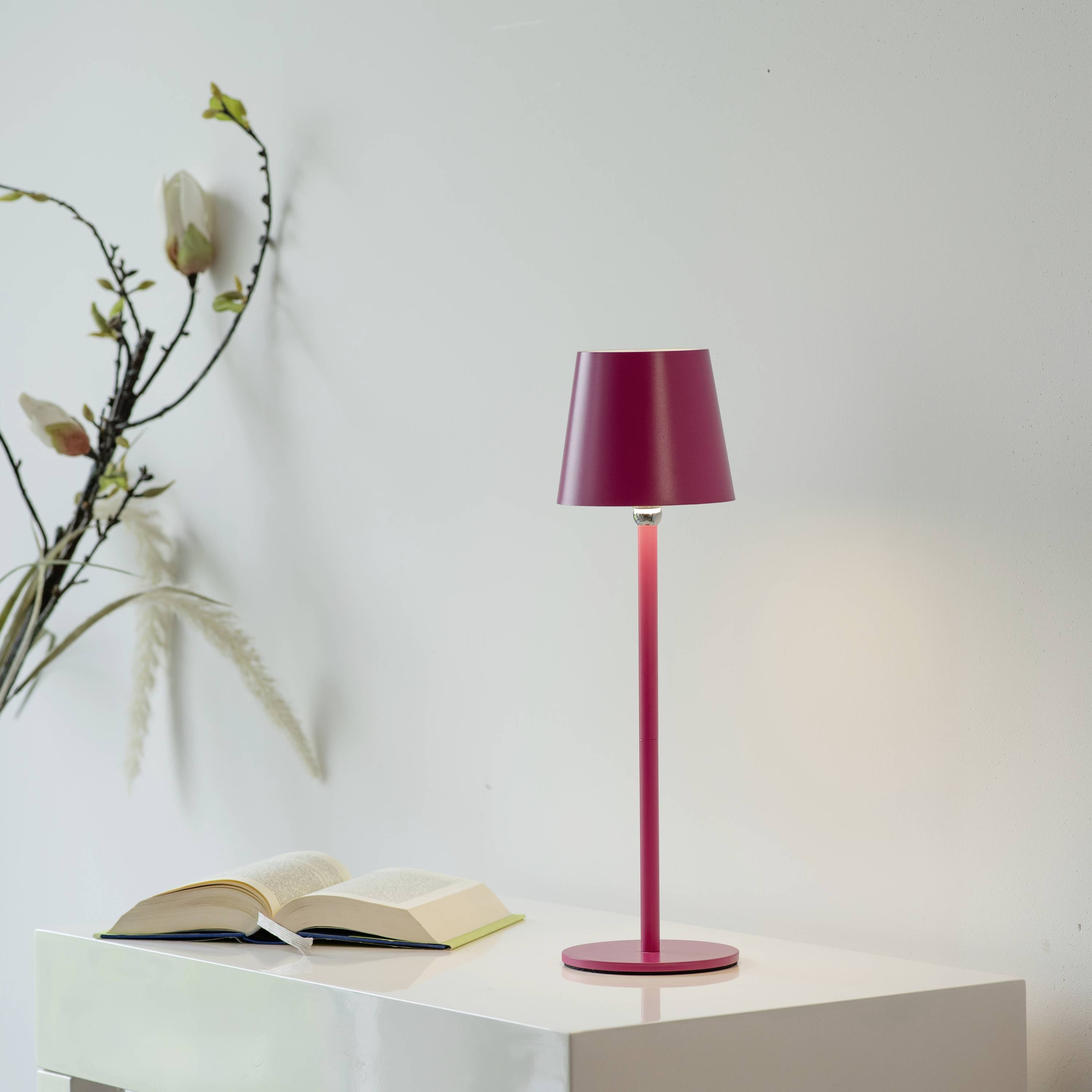 Rosa Tischlampe auf weißem Regal neben aufgeschlagenem Buch und getrockneten Zweigen, beleuchtet eine ruhige, minimalistische Szene.