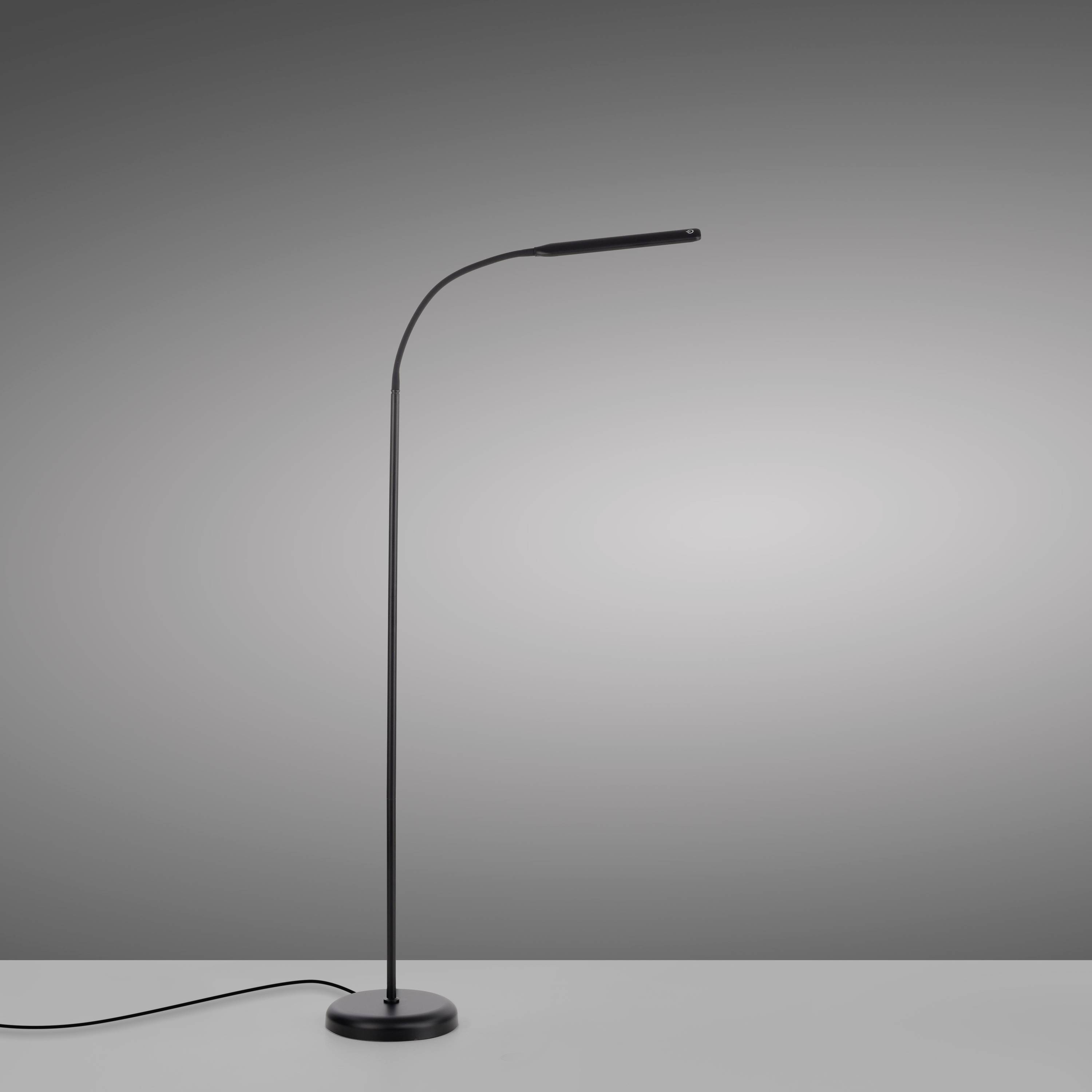 Stehlampe mit schlankem, gebogenem Stiel und kleinem Lampenschirm auf grauem Hintergrund. Moderne und minimalistische Gestaltung.