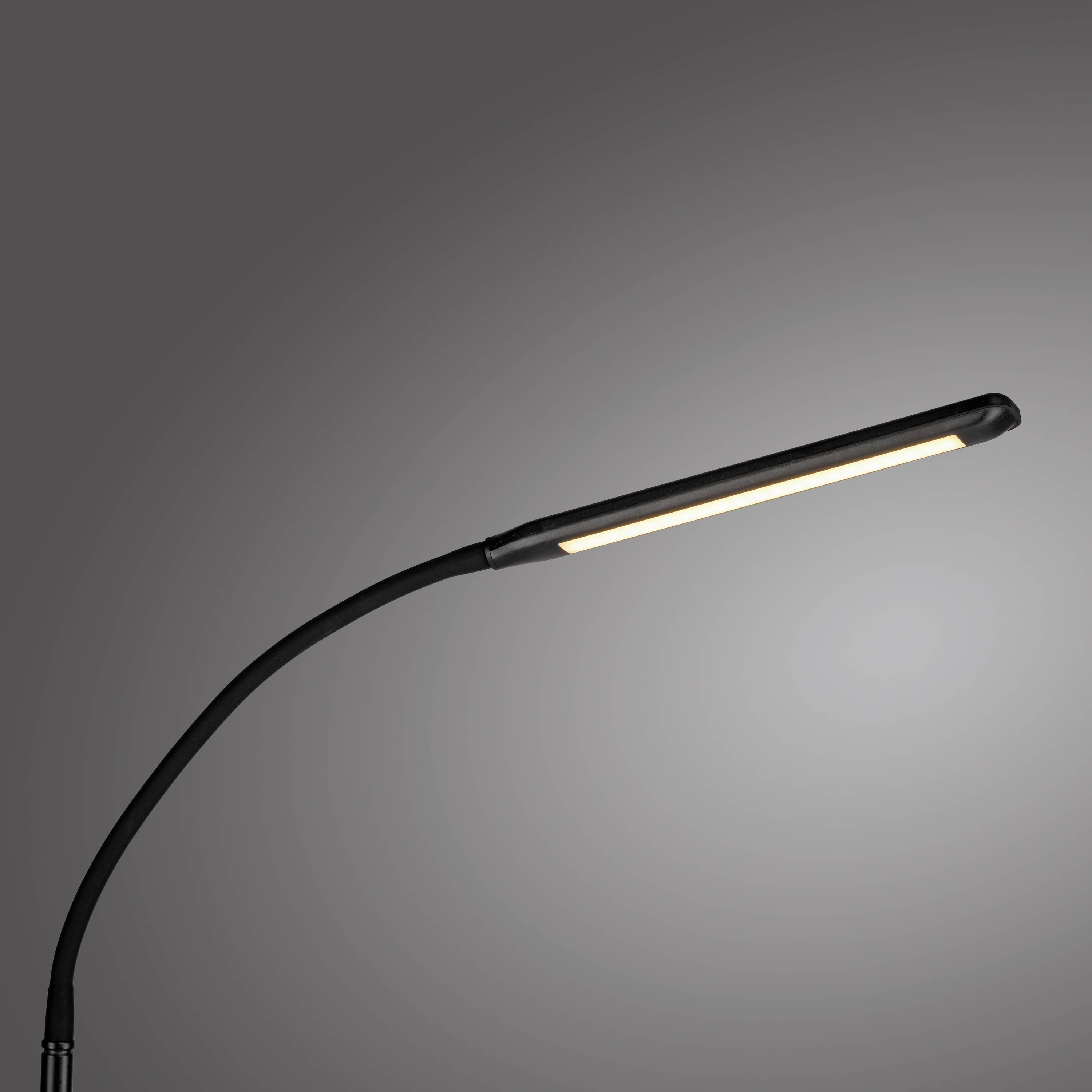 Eine schlanke, moderne LED-Schreibtischlampe mit gebogenem Arm leuchtet gegen einen neutralen Hintergrund.