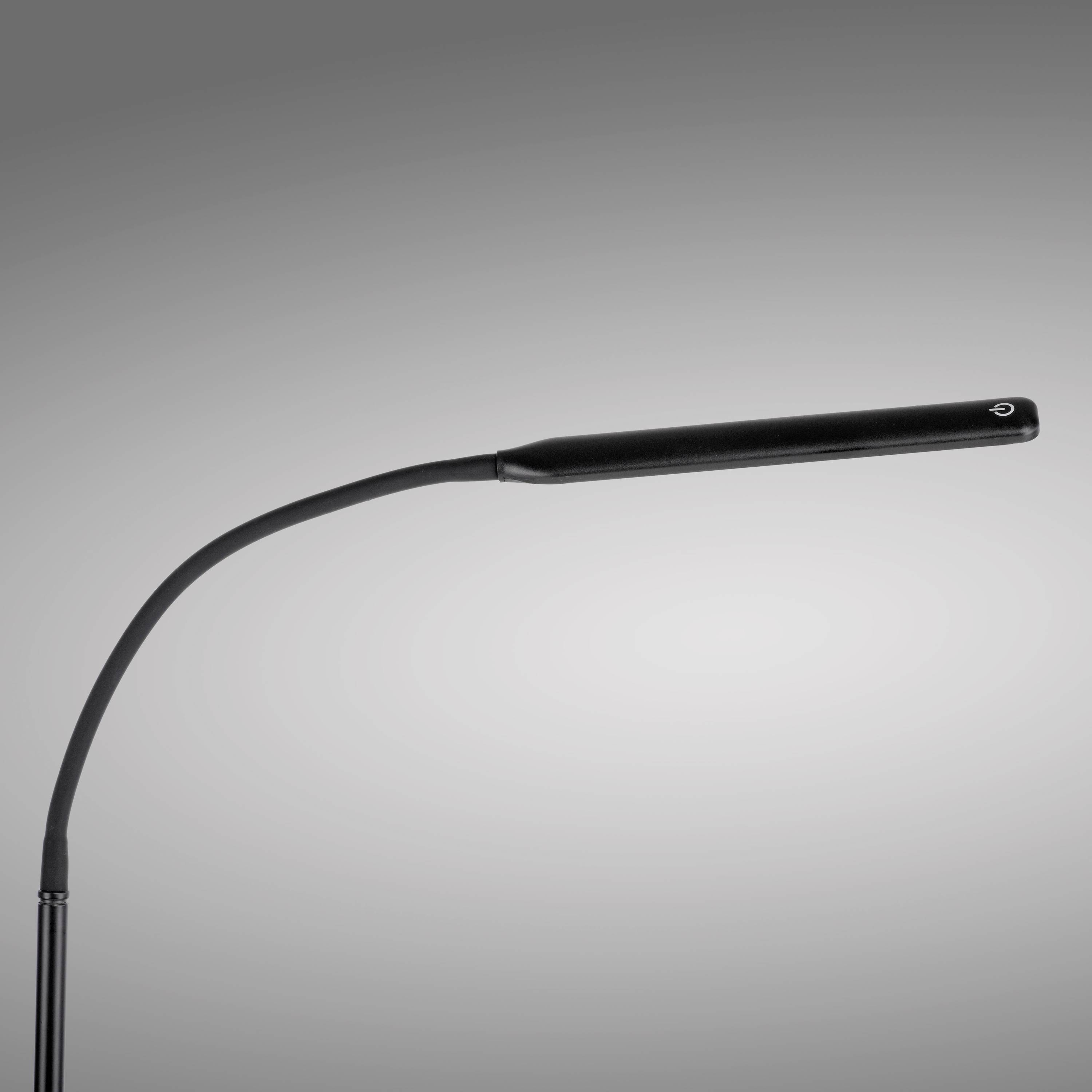 Stehlampe mit gebogenem Arm und schmalem, langem Leuchtkopf vor grauem Hintergrund. Geeignet zum Lesen oder als Arbeitslicht.