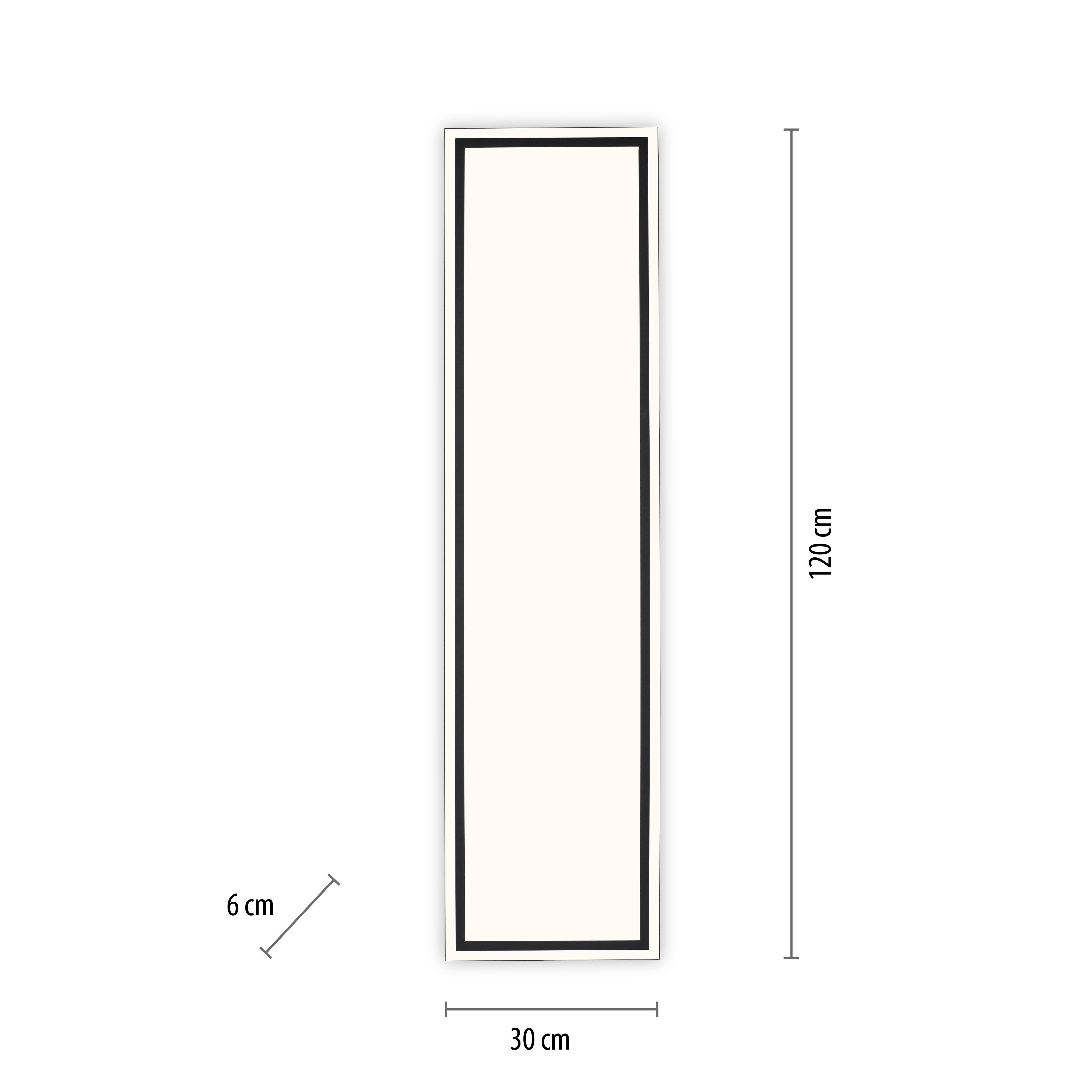 Rechteckiger Spiegel, Maße 120 cm Höhe x 30 cm Breite, Rahmenbreite 6 cm. Der Spiegel hat einen dünnen, schwarzen Rahmen.