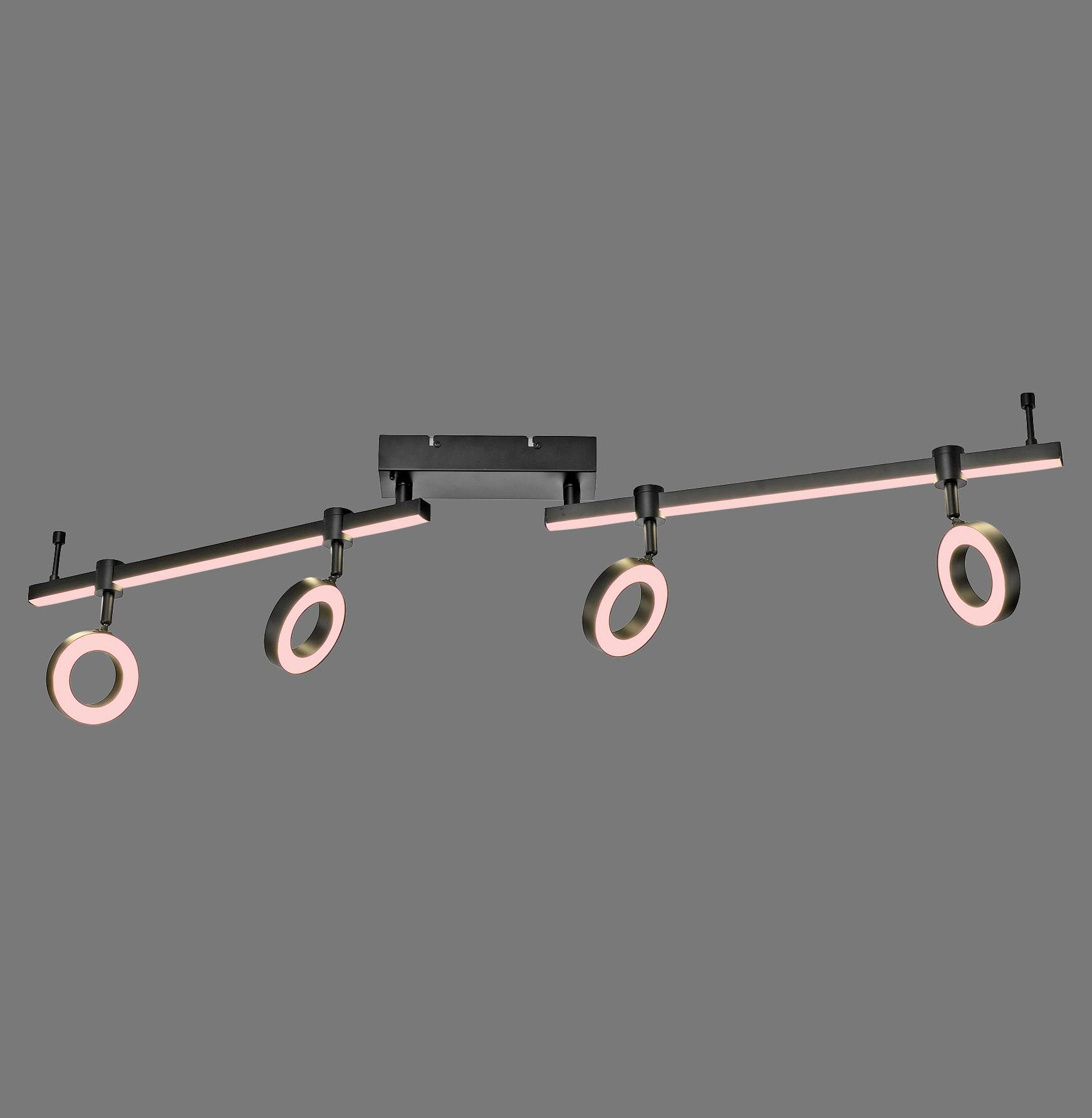Eine moderne Deckenleuchte mit zwei verstellbaren Armen, an denen jeweils zwei runde LED-Leuchten hängen. Die Leuchte ist in Schwarz gehalten.