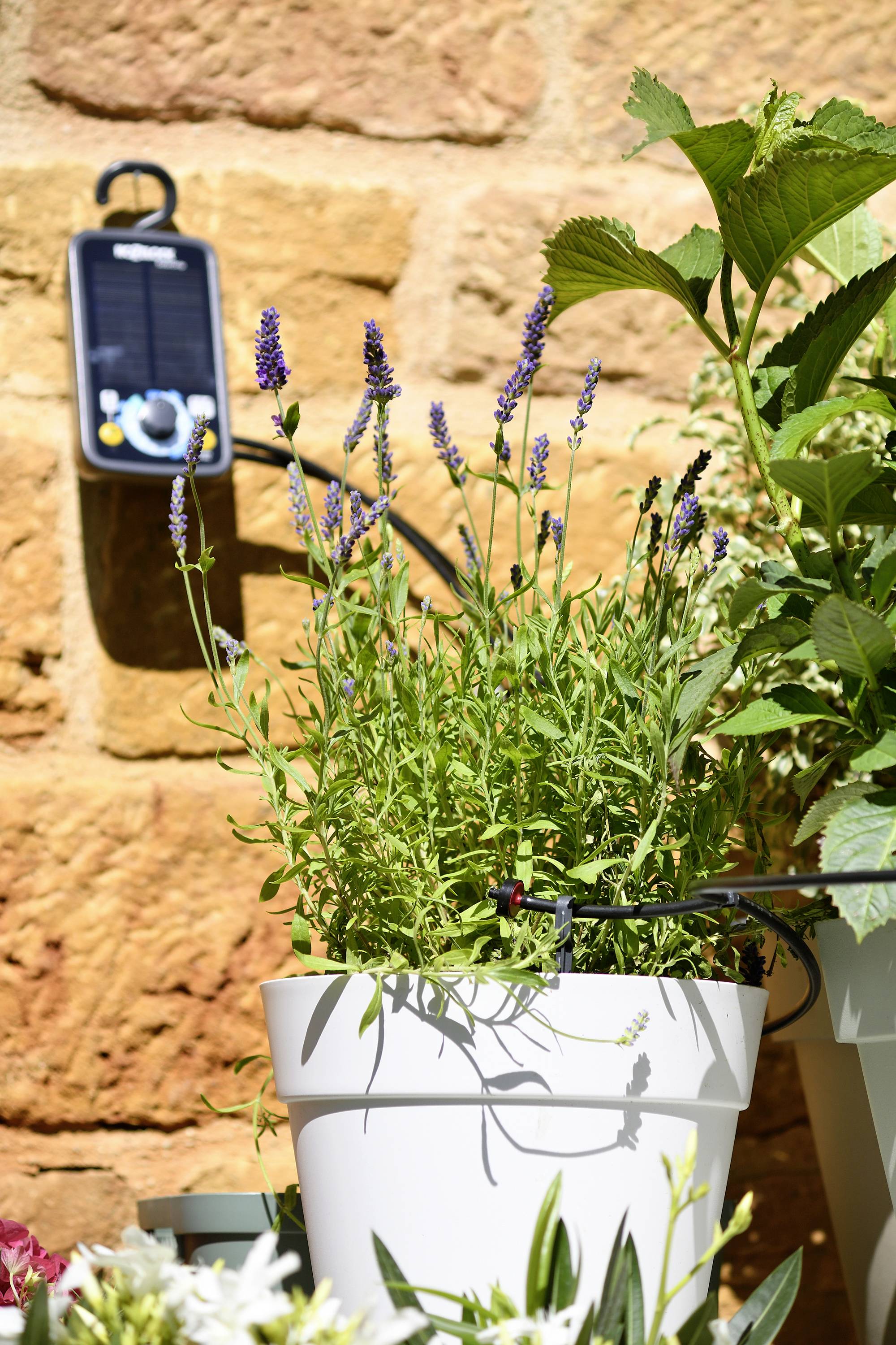 Hozelock 100-101-033 Blumenkastenbewässerung