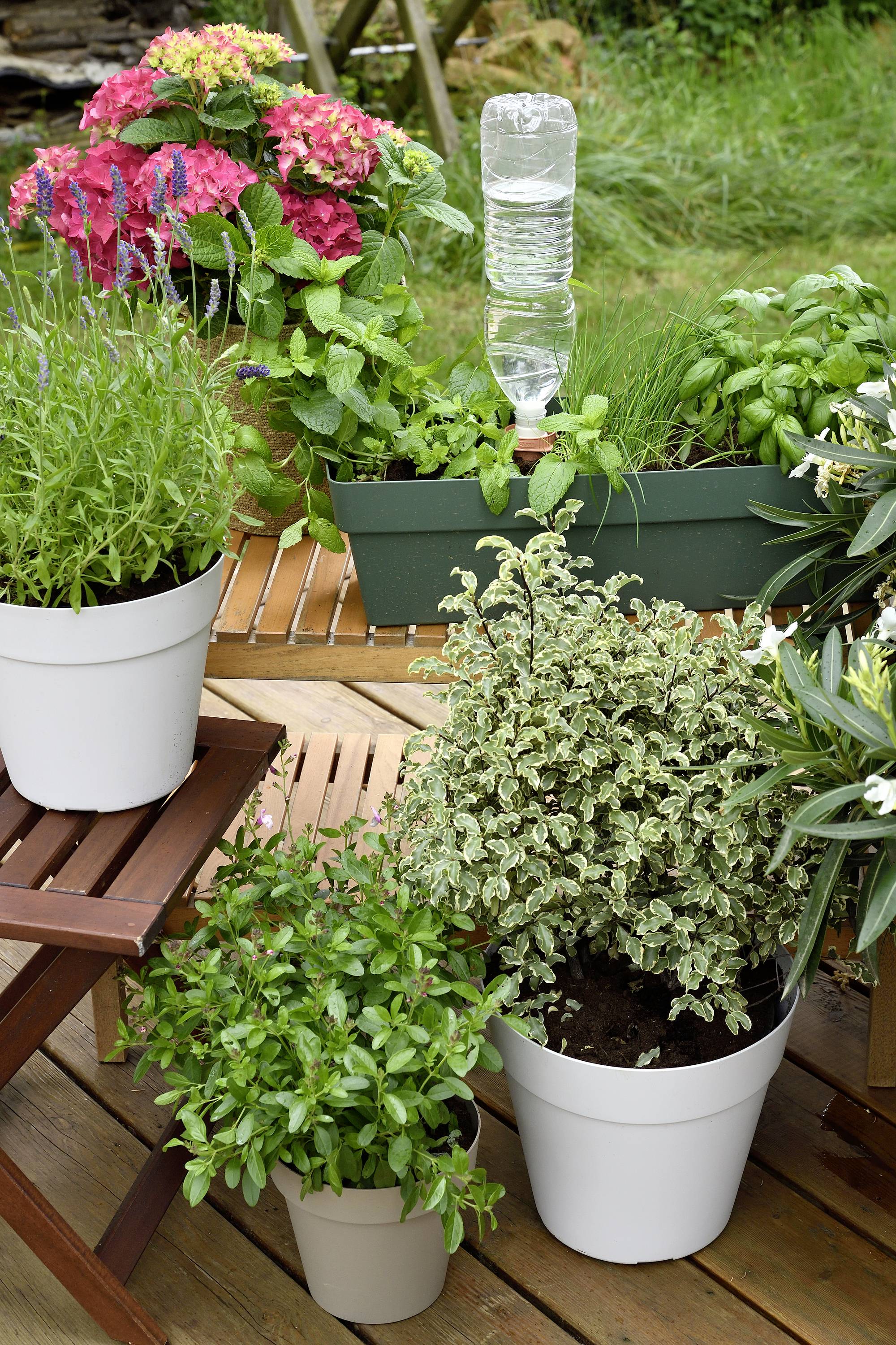 Hozelock 100-101-070 Bewässerungskegel