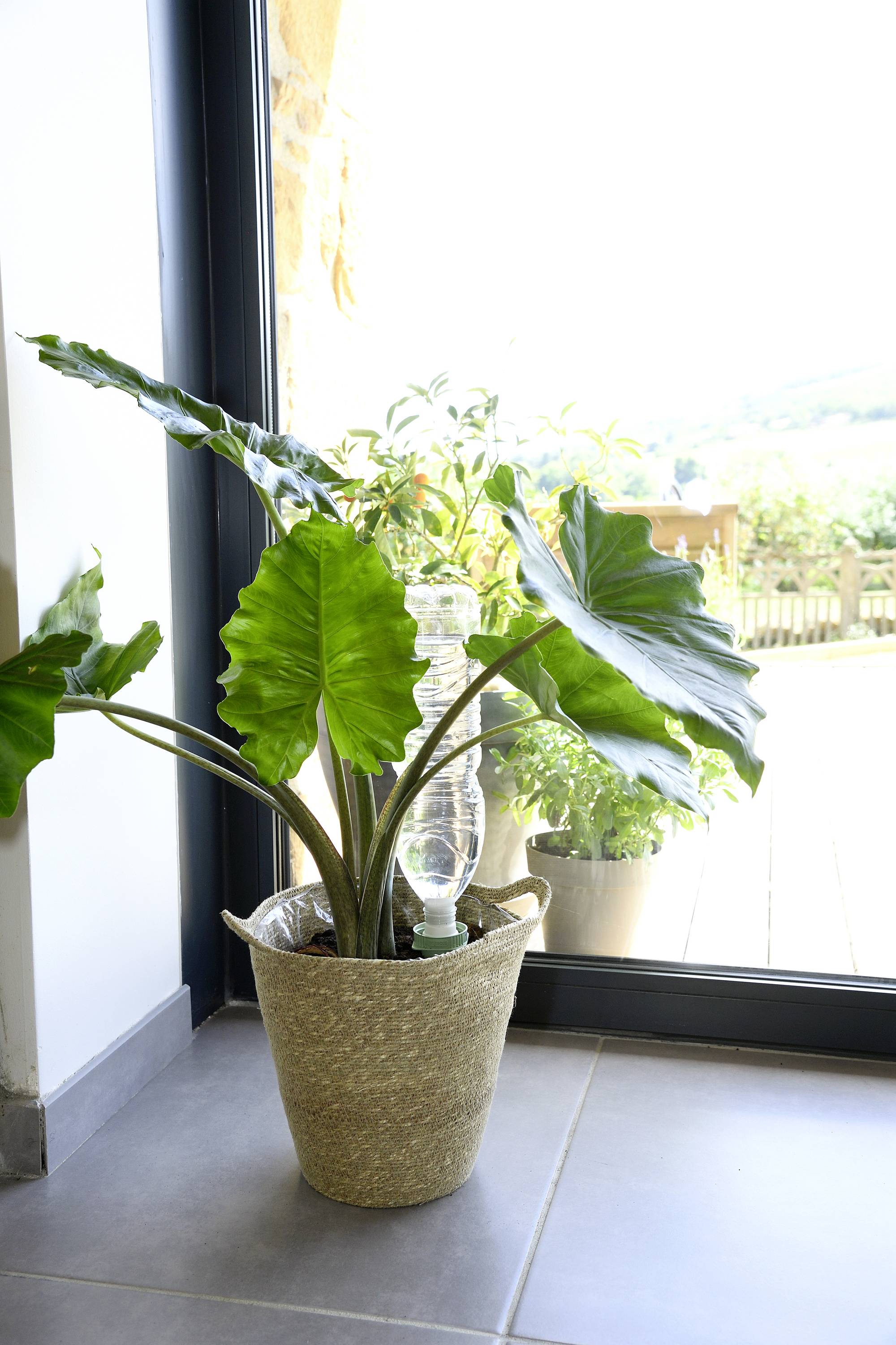 Hozelock 100-101-070 Bewässerungskegel