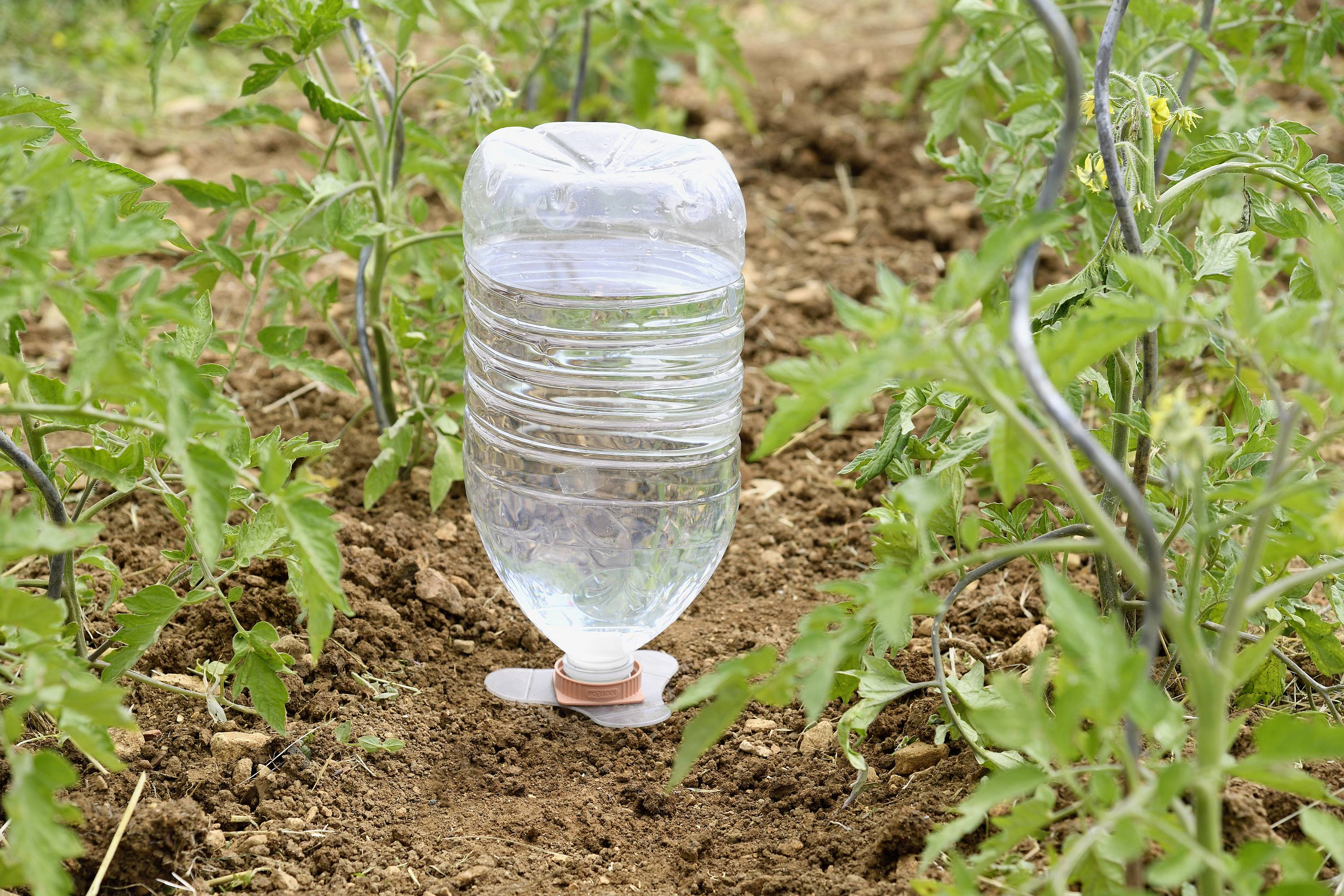 Hozelock 100-101-074 Bewässerungskegel