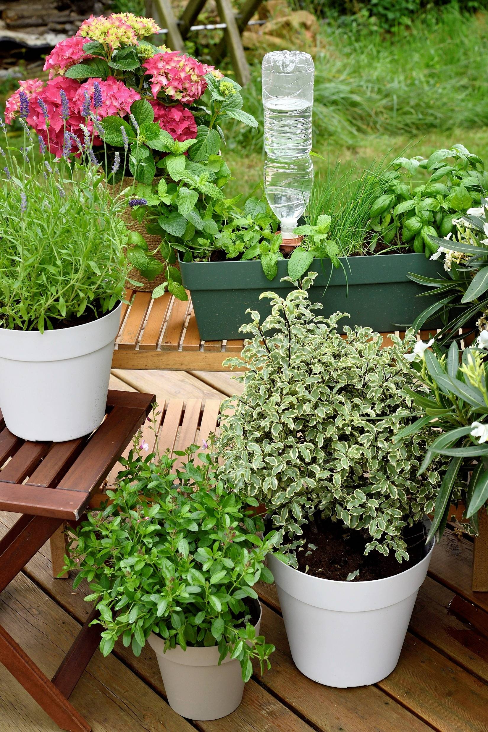 Hozelock 100-101-074 Bewässerungskegel