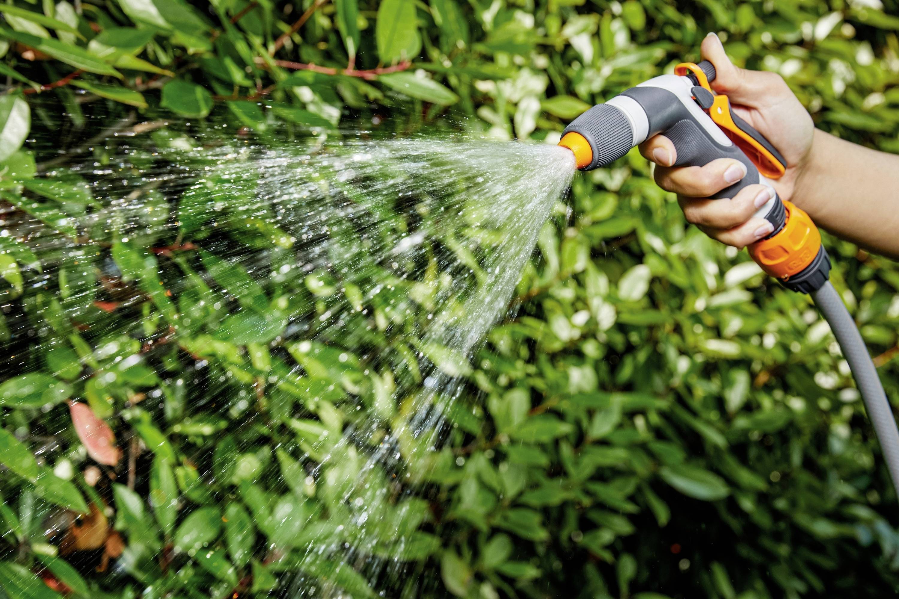 Eine Person hält einen Gartenschlauch und sprüht Wasser auf grüne Blätter.
