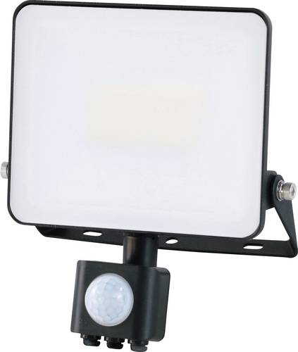 Müller-Licht 21600064 LED Outdoor Floodlight 30W Neutral White Lig...