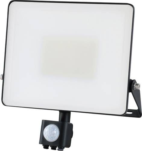 Müller-Licht Miami 21600065 LED-Außenstrahler 50 W Leuchtfarben: Neutralweiß