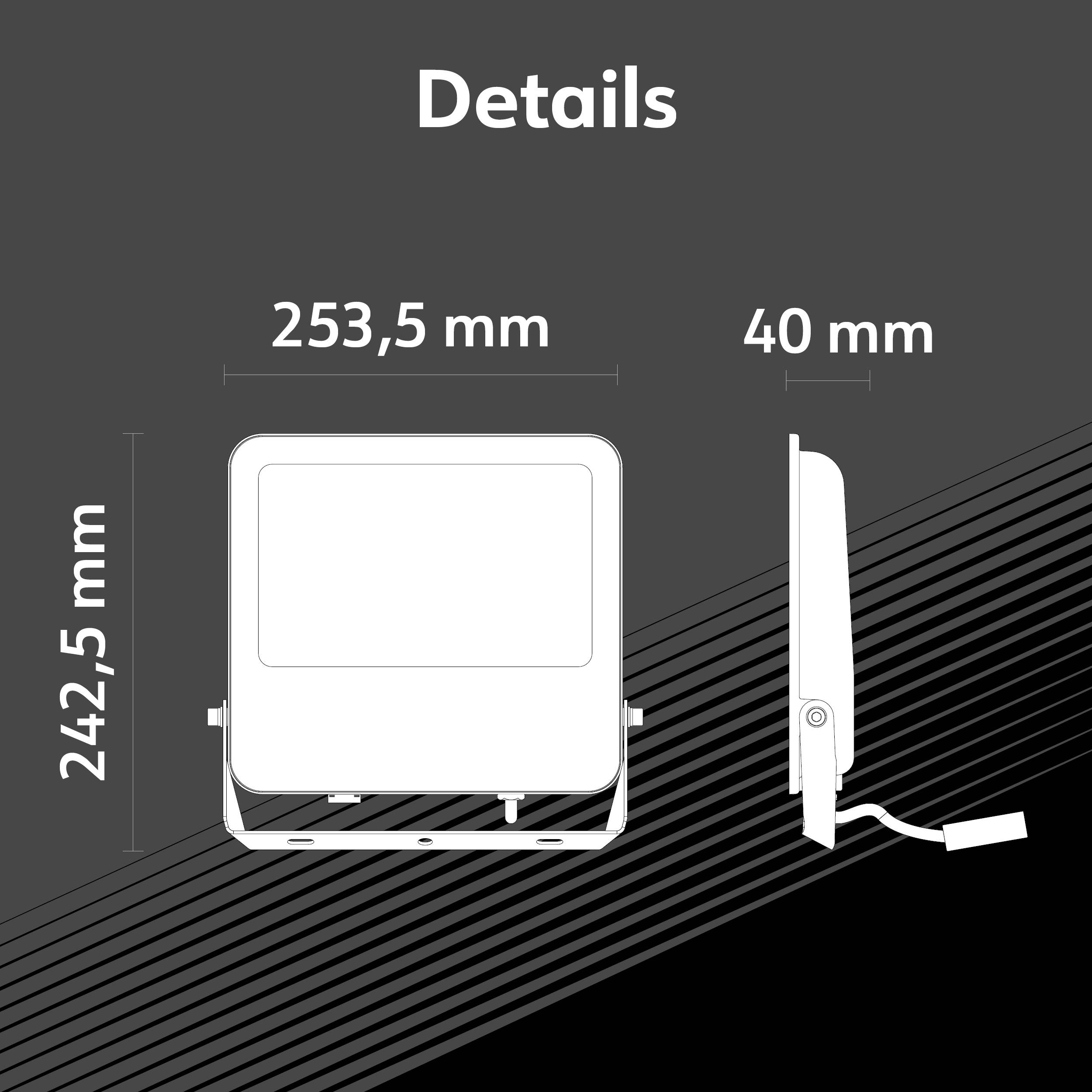 LED-Fluter mit den Maßen 242,5 mm Höhe, 253,5 mm Breite, 40 mm Tiefe. Zeigt Vorder- und Seitenansicht auf grauem Hintergrund.