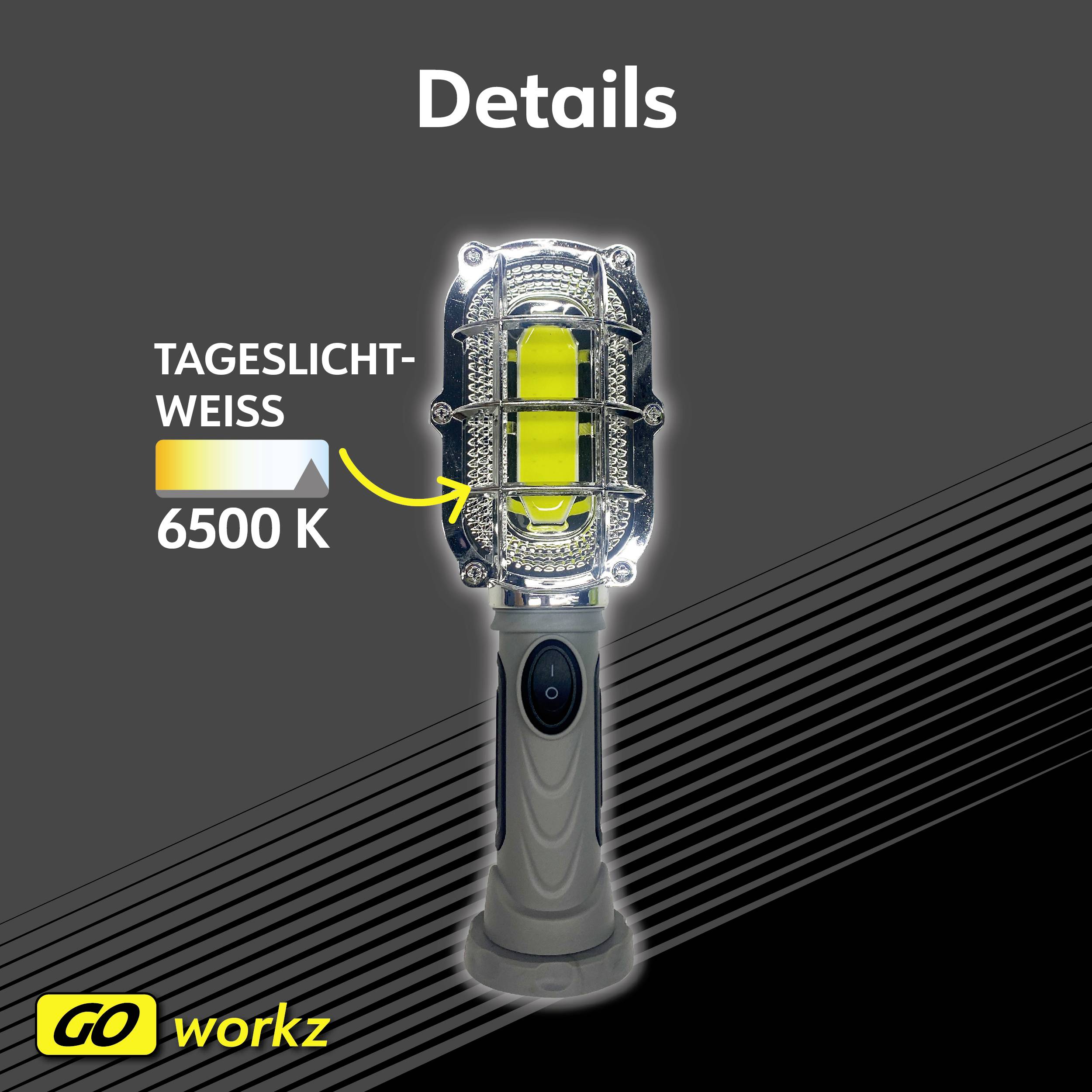 Eine tragbare Leuchte mit Taglicht-Weiß bei 6500 K. Der Text 'Details' oben, mit markant hervorgehobener Lichtfarbe. Unten das Logo 'GO workz'.