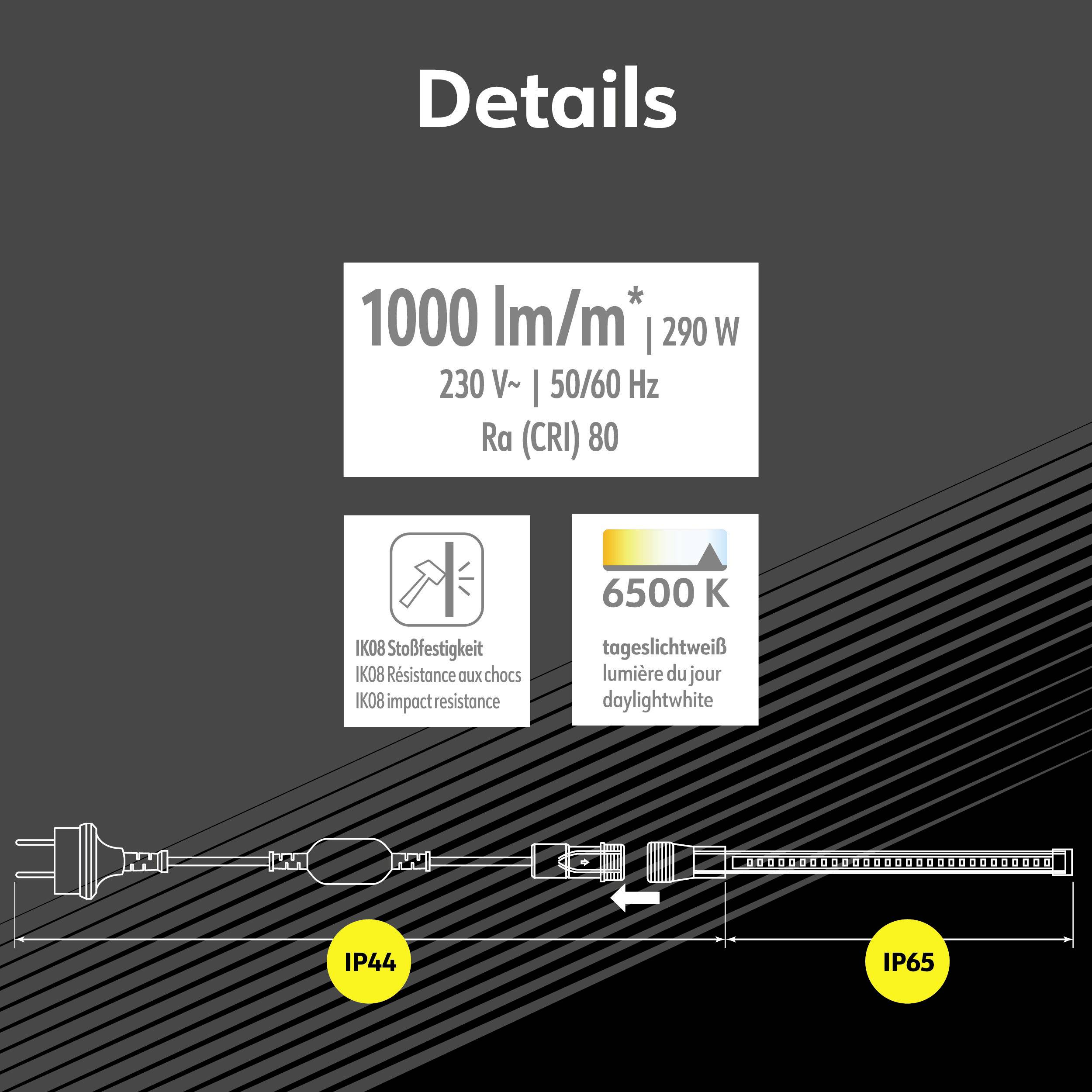 'Details': Diagramm eines Leuchtmittels mit 1000 Lumen pro Meter, 290 Watt, 230 V, 50/60 Hz, CRI 80, Farbtemperatur 6500K, Diagramm zeigt auch Schutzklassen IP44 und IP65.
