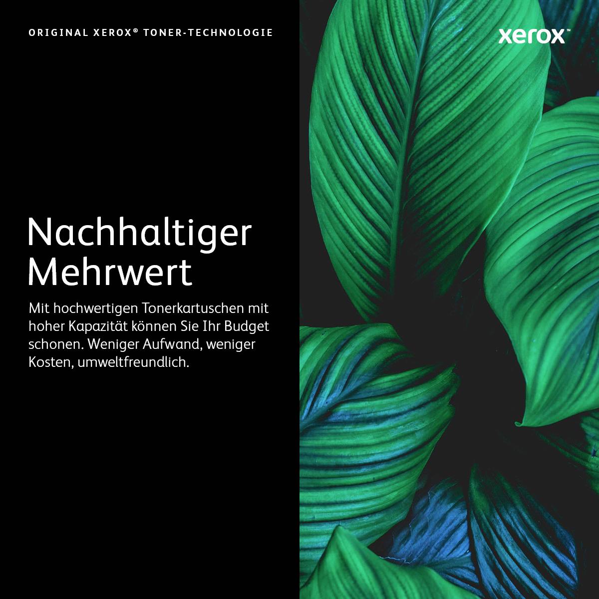 Naher Blick auf grüne Blätter. Werbetext: Nachhaltiger Mehrwert durch hohe Kapazität, weniger Kosten, umweltfreundlich.