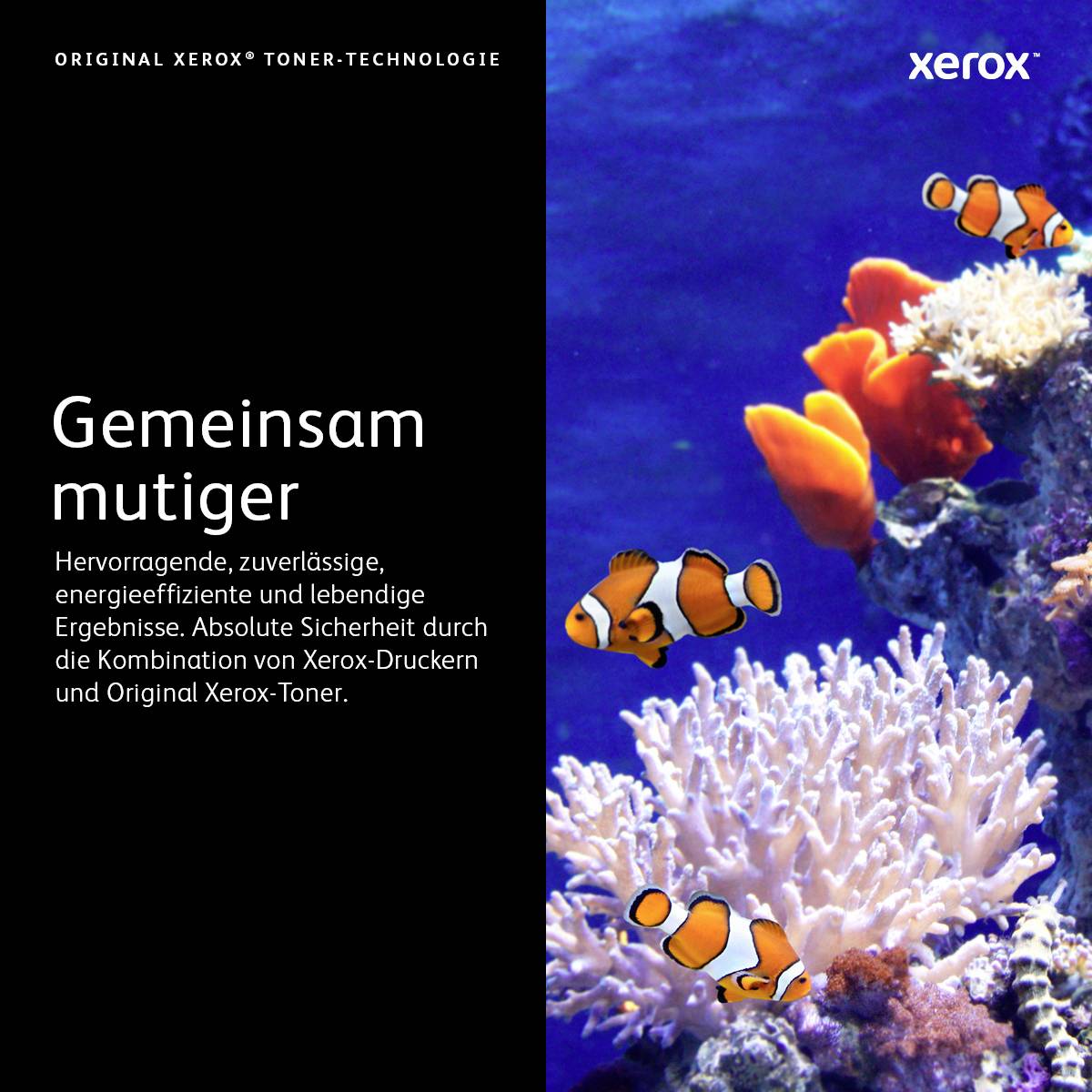 Clownfische schwimmen über Korallen in klarem, blauem Wasser. Text links: 'Gemeinsam mutiger' mit einer Beschreibung der Vorteile von Xerox-Tonern.