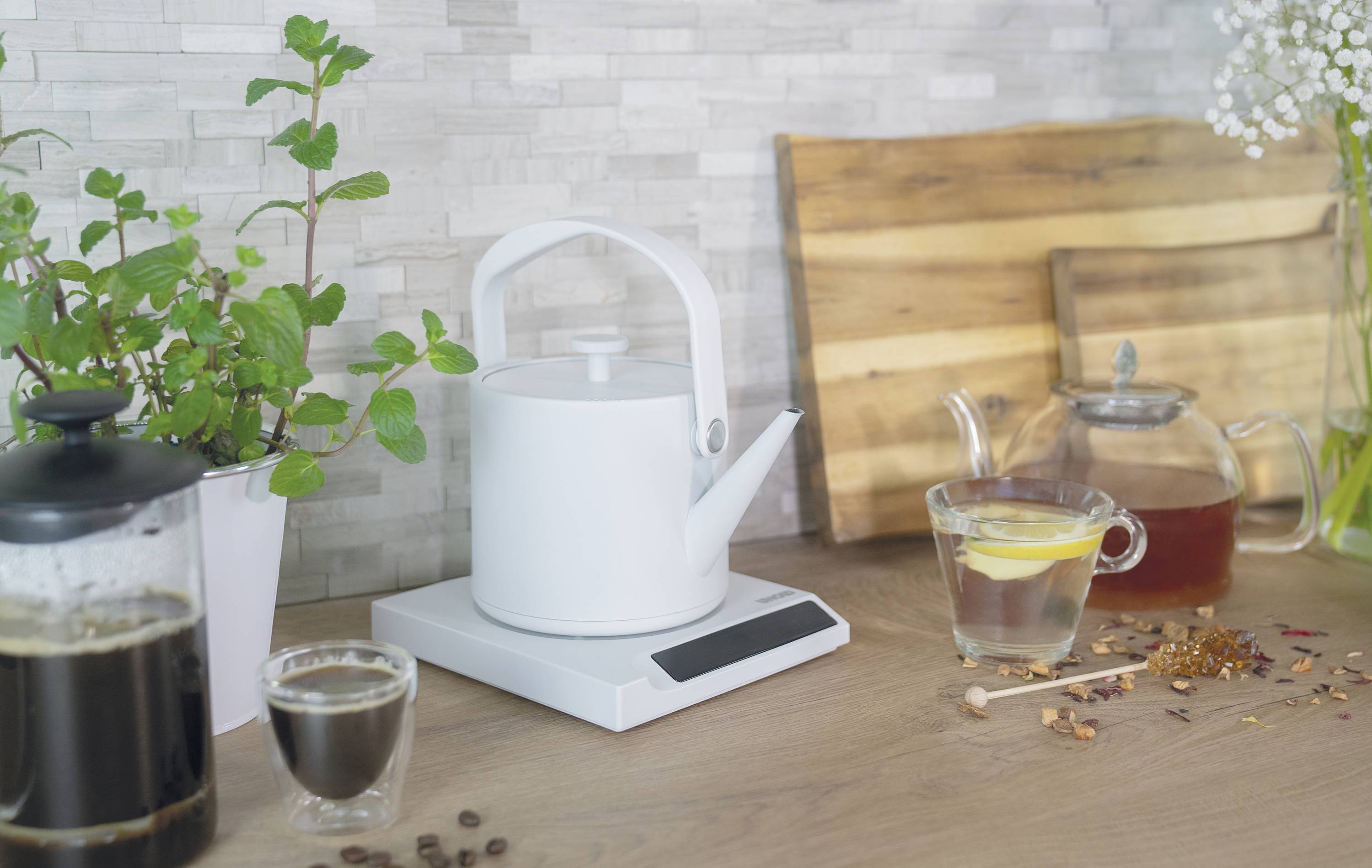 Ein weißer Wasserkocher steht auf einer Küchenarbeitsplatte neben einem Glas Tee, einem Kaffeebereiter und einer Pfefferminzpflanze.