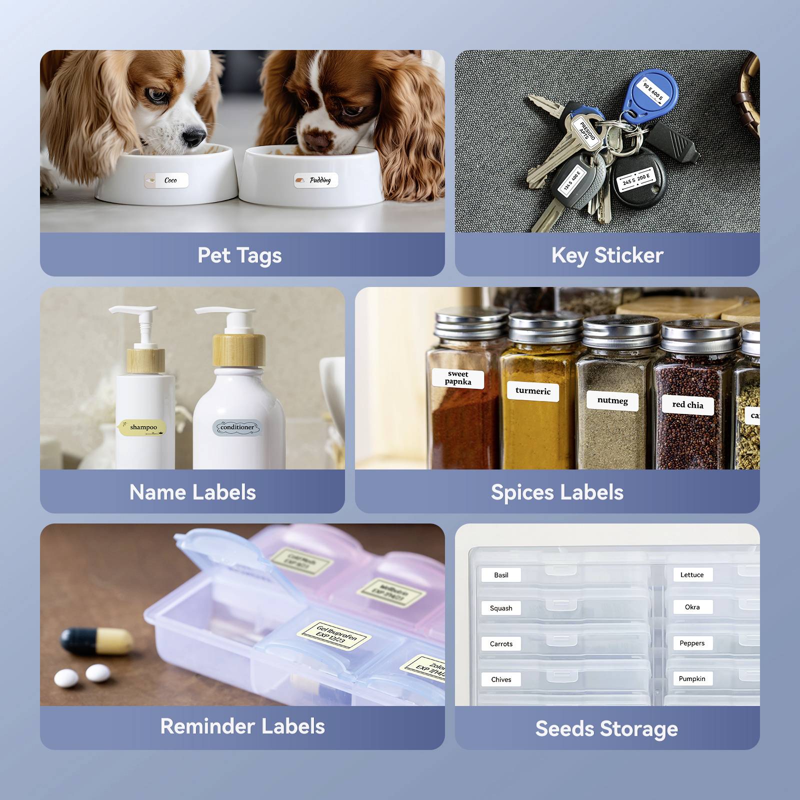 NIIMBOT Etikettendrucker D11_H Portable thermal label printer Etikettendrucker Thermodirekt 300 x 300 dpi Etikettenbreite (max.)