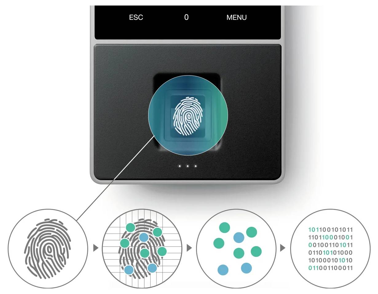 Timemoto 125-0636 Zeiterfassungssystem