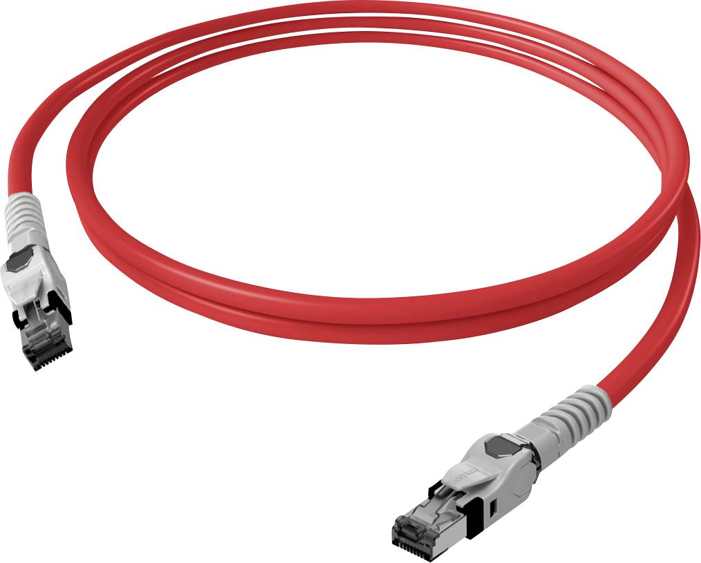 Ein rotes Ethernet-Kabel mit zwei RJ-45-Steckern an den Enden, geeignet für Netzwerkverbindungen.