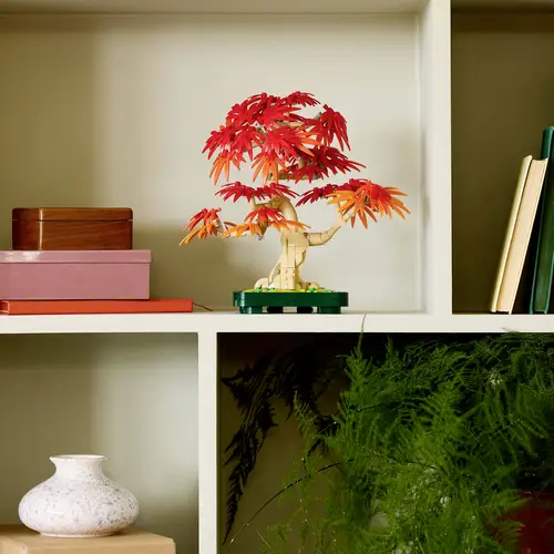 10348 LEGO® ICONS™ Japanischer Roter Ahorn – Bonsai-Baum 10348 LEGO® ICONS™ Japanischer Roter Ahorn – Bonsai-Baum