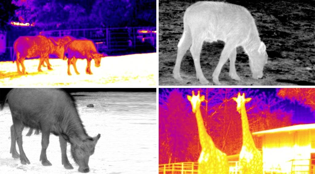 Uni-T UTx313 180700300043X Wärmebildkamera 2x, 4 x 13.5mm