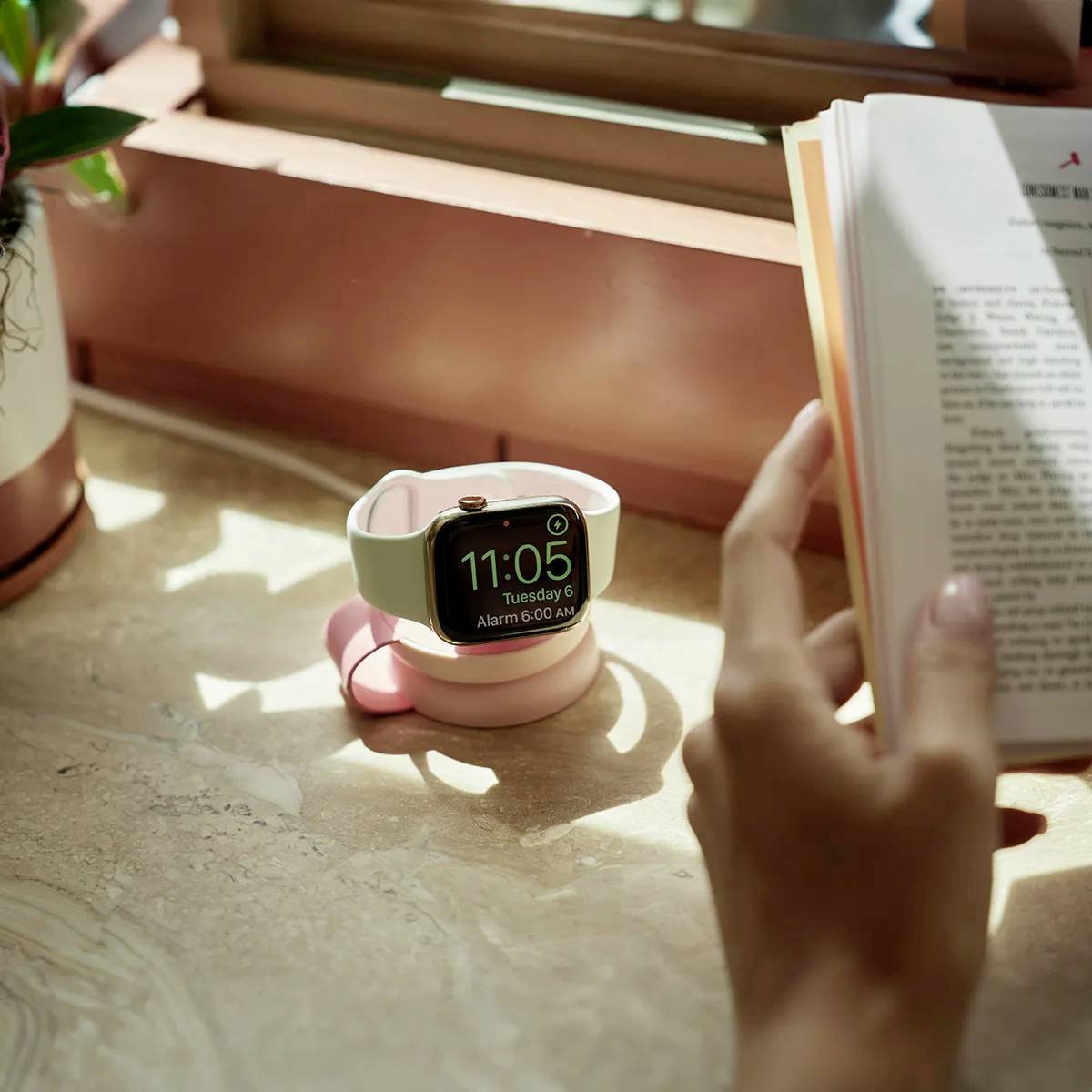 Twelve South Induktions-Ladegerät TS-2431 TS-2431 Ausgänge USB-C® Pink