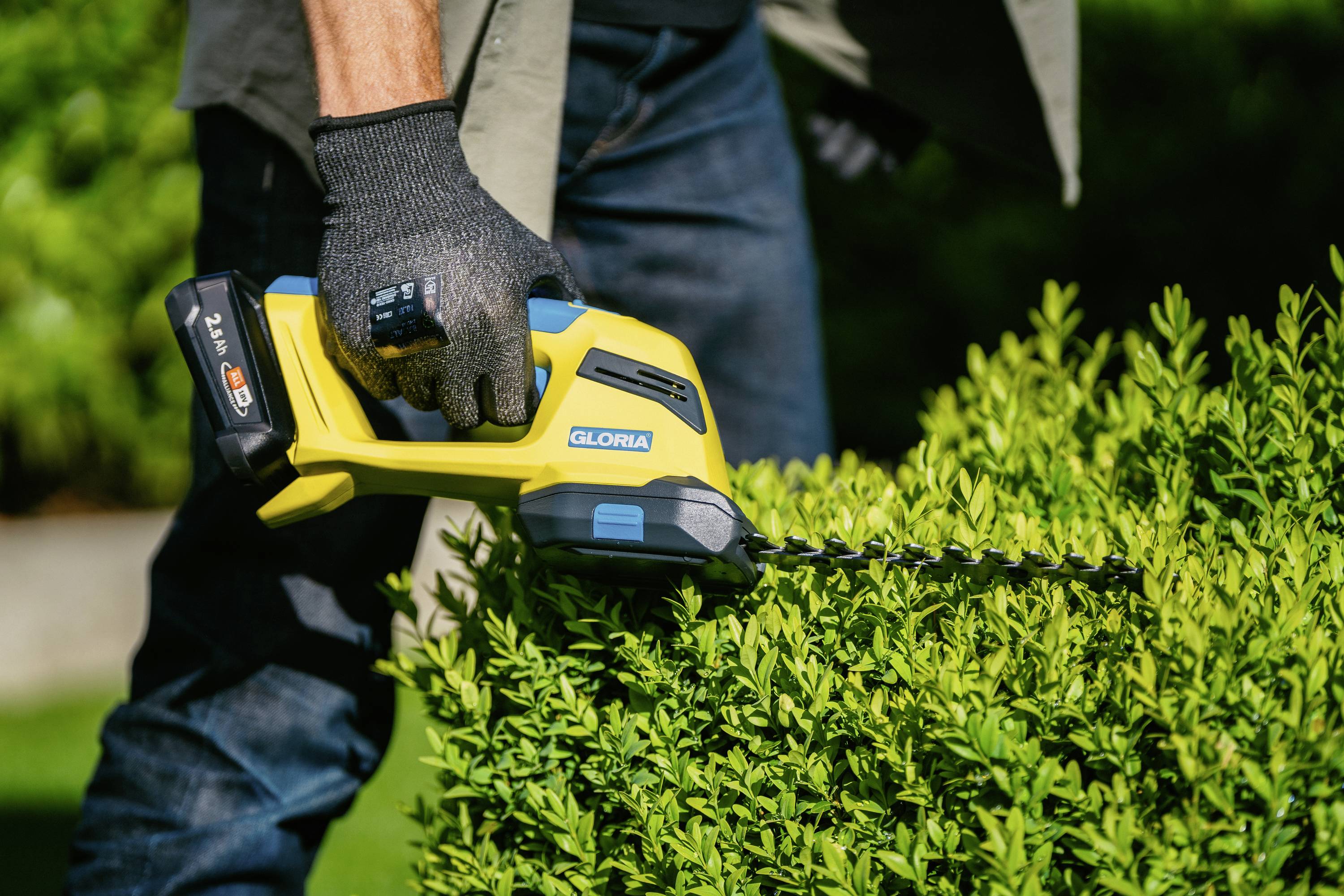 Person schneidet mit einer gelben Heckenschere einen grünen Busch. Sie trägt Handschuhe und hat dunkle Kleidung an.