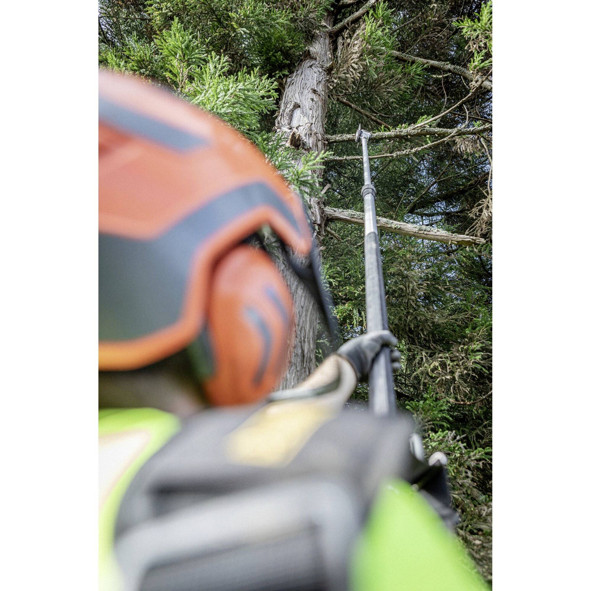 Eine Person mit Helm und Schutzkleidung schneidet Äste von einem Baum mit einer Astsäge.