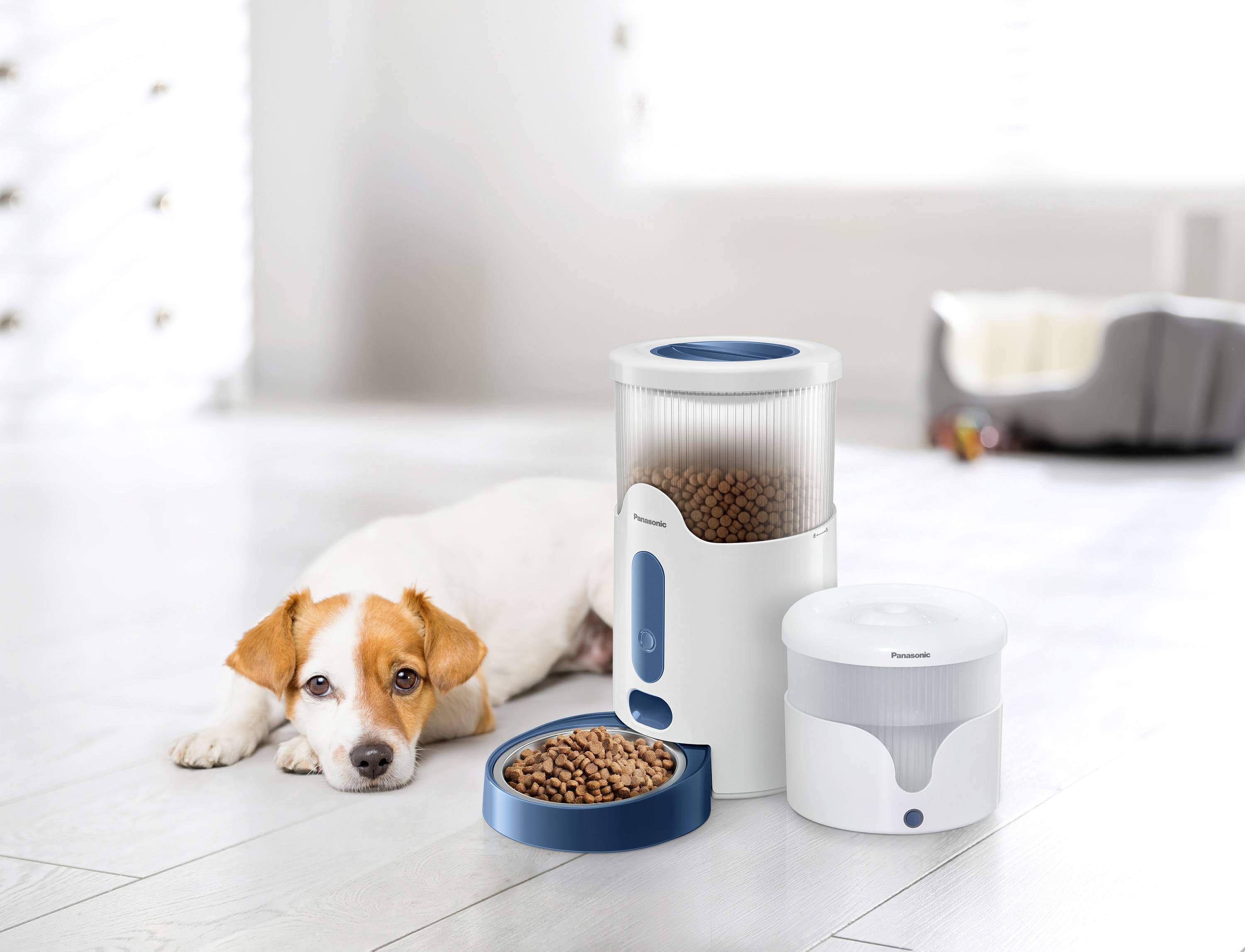 Ein Hund liegt neben einem automatischen Futterspender und einem Trinkbrunnen. Im Hintergrund ist ein leeres Hundebett zu sehen.