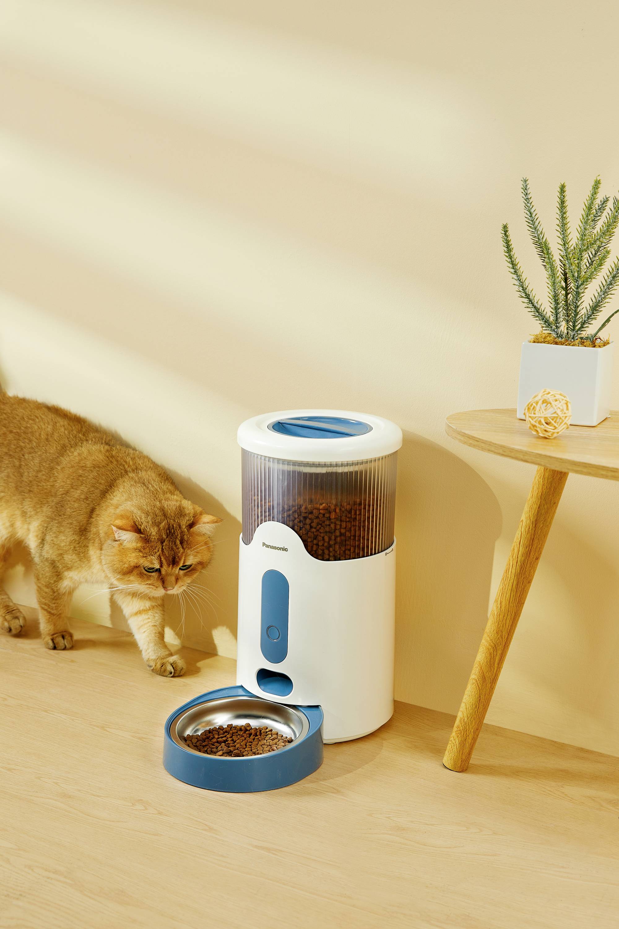 Eine Katze nähert sich einem Futterautomaten, der eine Schale mit Trockenfutter gefüllt hat. Daneben steht ein kleiner Tisch mit Pflanze.