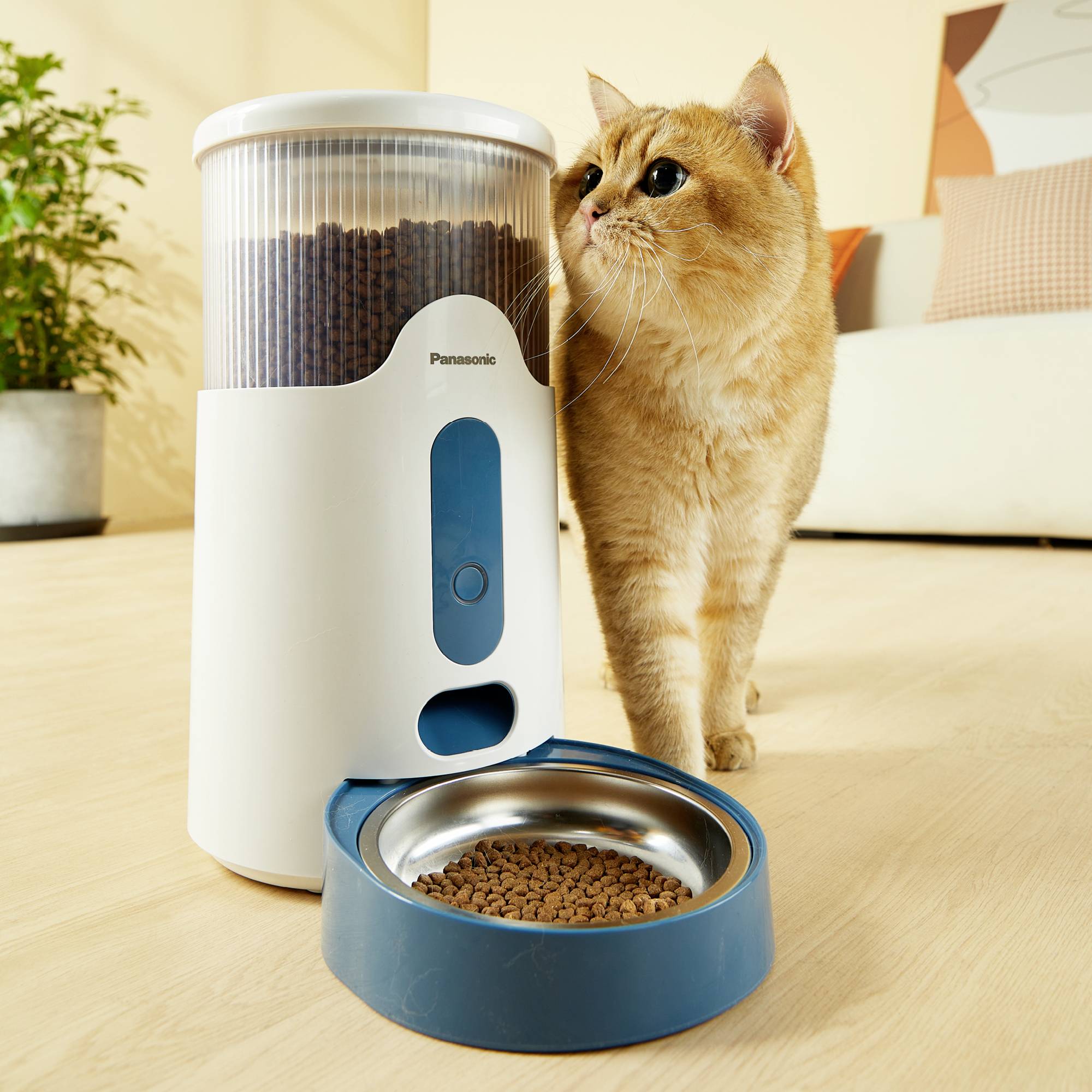 Eine Katze steht neben einem automatischen Futterspender, der mit Trockenfutter gefüllt ist. Daneben steht ein Napf mit Futter.