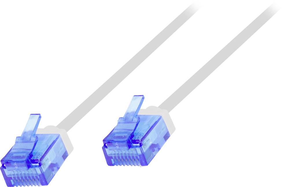 Zwei blaue Ethernet-Steckverbinder mit durchsichtigen Kabeln auf weißem Hintergrund.