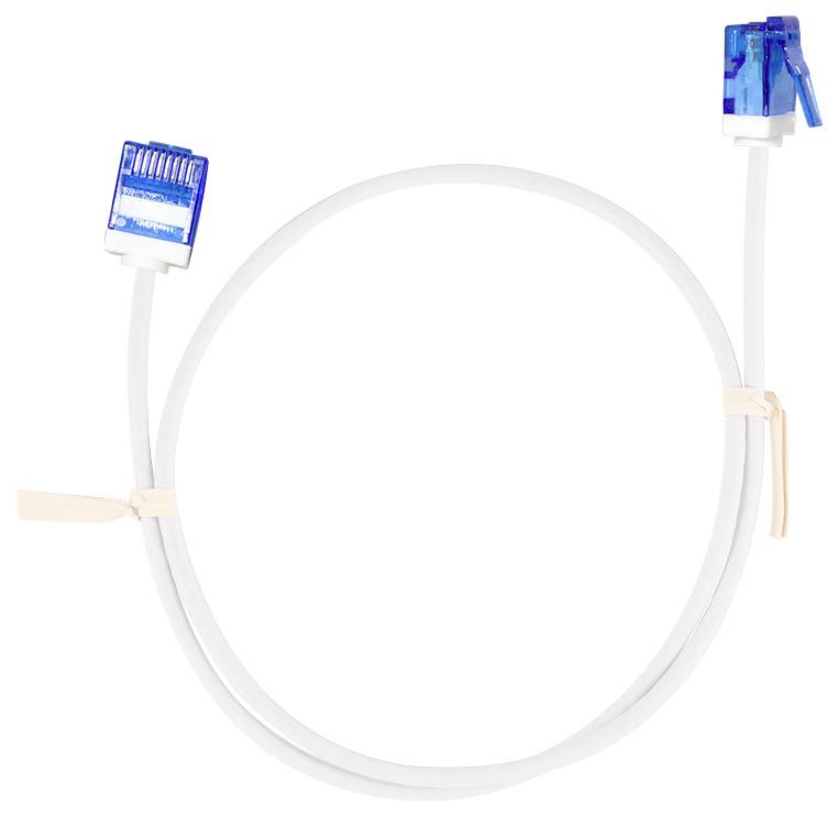 Weißes Ethernet-Kabel in einer Schleife aufgerollt mit blauen RJ45-Steckern an beiden Enden, isoliert auf weißem Hintergrund.