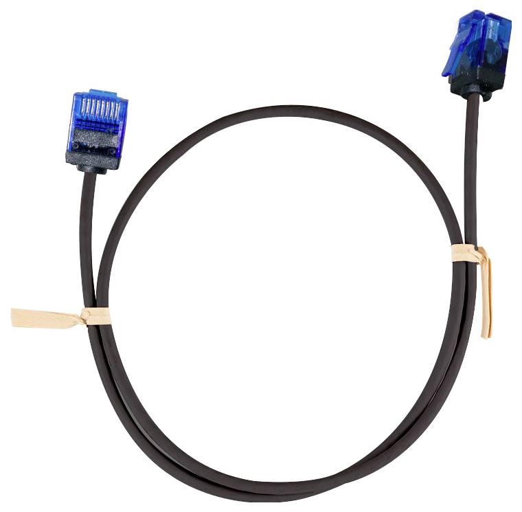 Schwarzes Ethernet-Kabel mit blauen RJ45-Steckern an beiden Enden, aufgewickelt und zusammengebunden vor einem weißen Hintergrund.