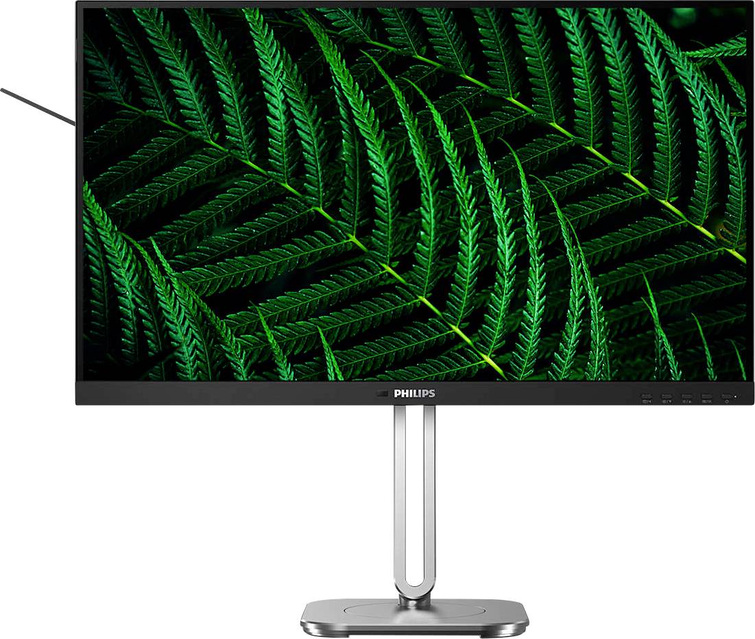 Ein Philips-Monitor zeigt ein lebendiges Bild von grünen Farnblättern, die diagonal angeordnet sind und ein natürliches Muster bilden.