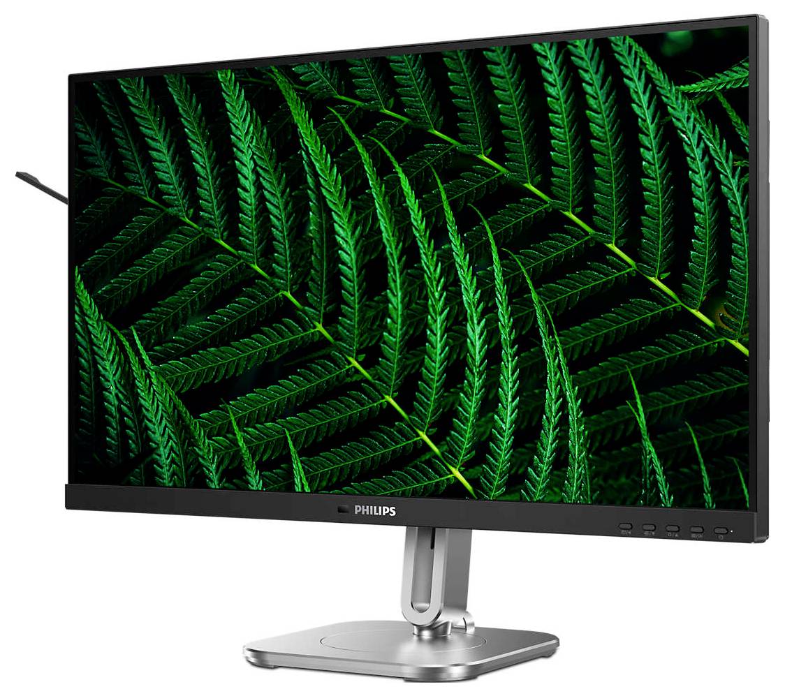 Ein Computermonitor zeigt ein Display mit großen, lebendig grünen Farnblättern, die detailliert und scharf abgebildet sind.