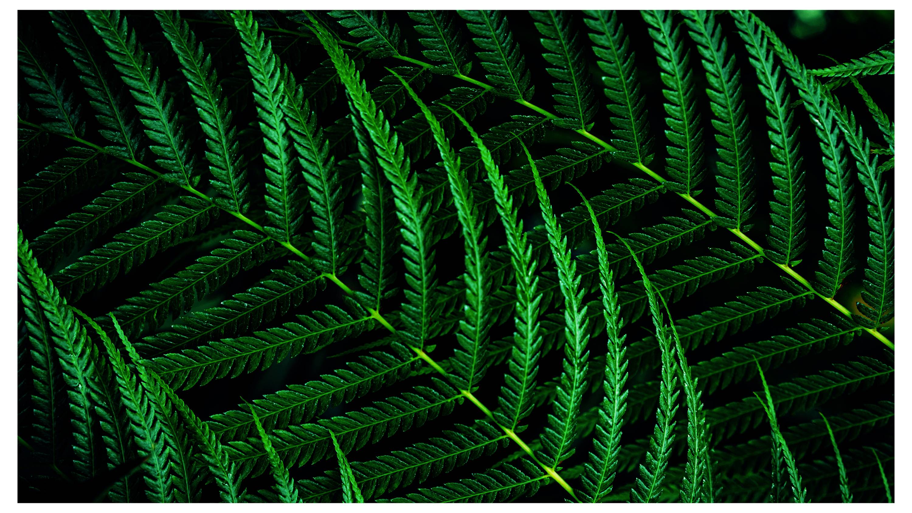 Philips 27B2G5601 LCD-Monitor EEK C (A - G) 68.6cm (27 Zoll) 2560 x 1440 Pixel 16:9 4 ms DisplayPort, HDMI® IPS LCD