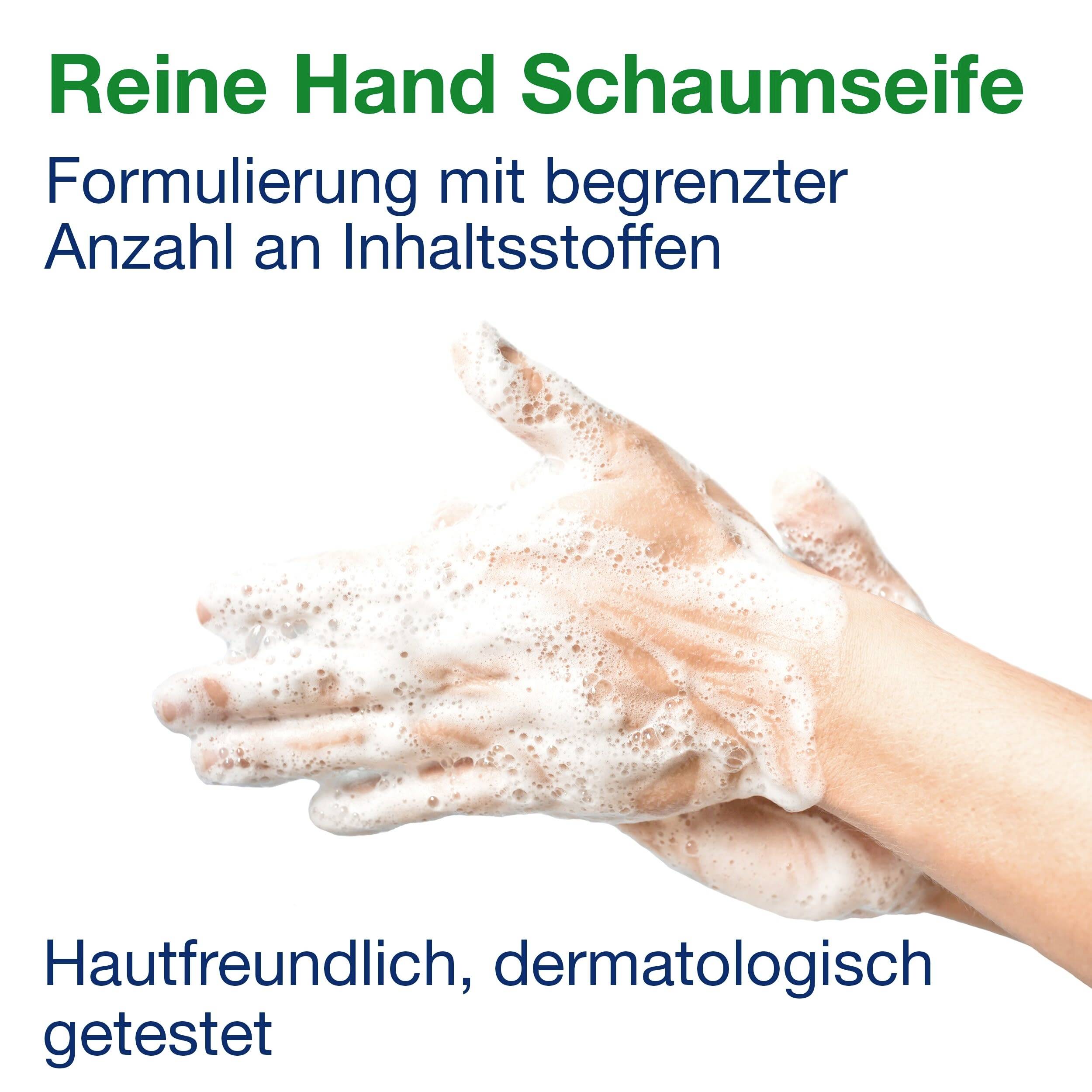 Zwei Hände mit Schaumseife gewaschen. Oben der Text 'Reine Hand Schaumseife'. Hinweise zur dermatologischen Testung darunter.