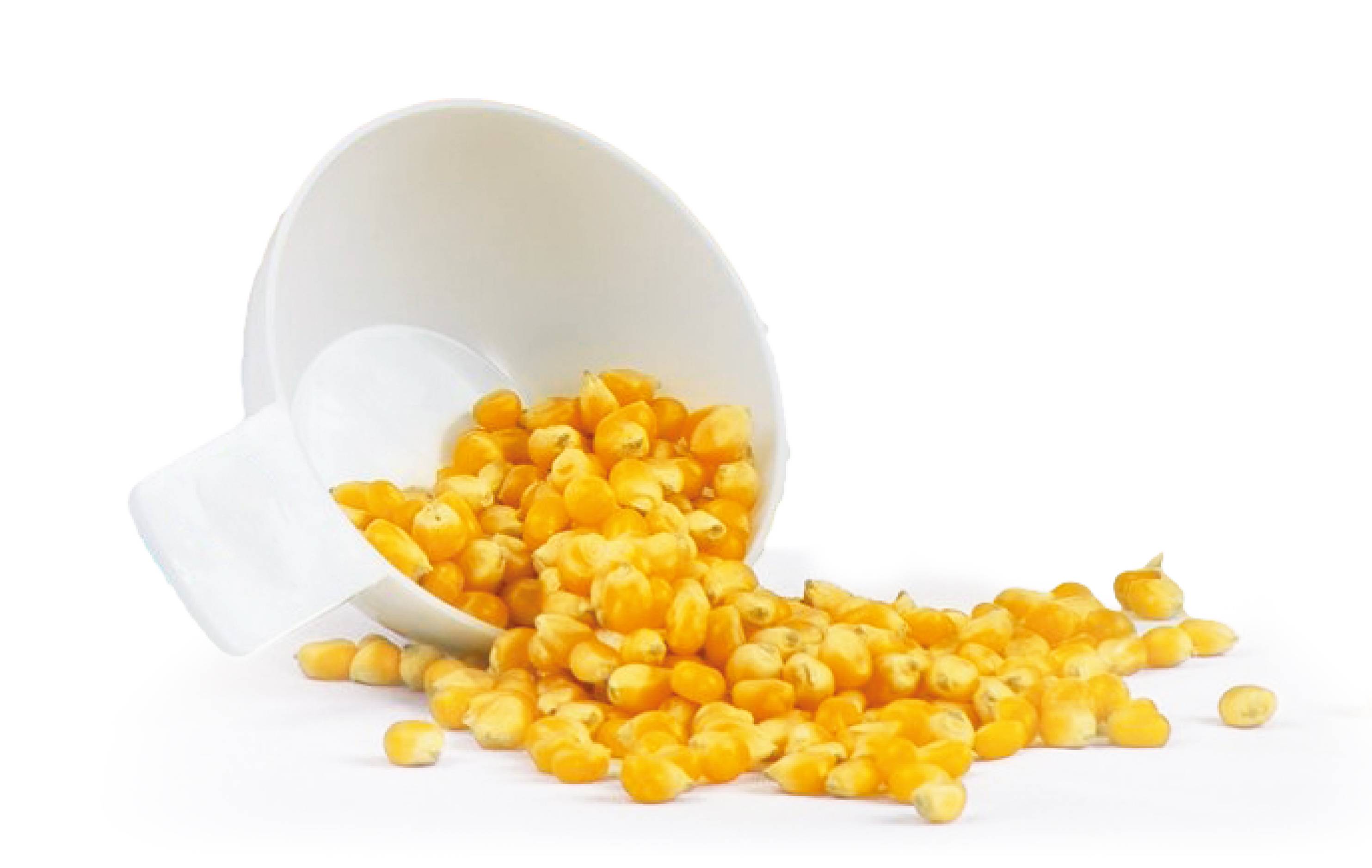 Silva Homeline PM 440 428023 Popcorn-Maker Weiß