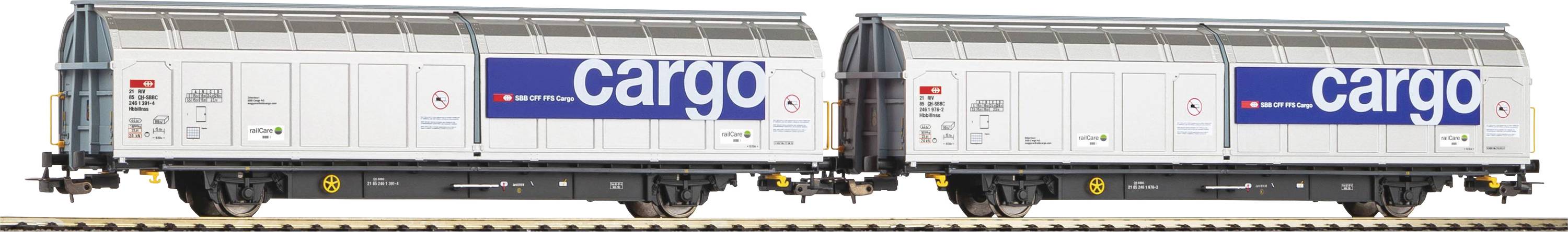 Zwei graue Güterwaggons mit blauen 'cargo'-Aufschriften auf Gleisen.