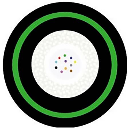 Eine schwarze und grüne Zielscheibe mit weißem Zentrum, die farbige Punkte zeigt und einem Dartboard-Muster ähnelt.