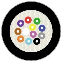 Twister-Spielspinner: farbige Kreise, die in einem Ring auf einer weißen Scheibe mit schwarzem Rand angeordnet sind; wird zur Bestimmung der Spielzüge beim Twister-Spiel verwendet.