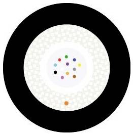 Ein Kreis mit einem schwarzen äußeren Ring enthält einen weißen Innenkreis mit mehrfarbigen Punkten, der wie ein stilisiertes abstraktes Design aussieht.