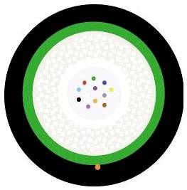 Ein kreisförmiges Diagramm mit einem grünen Ring, einem weißen Zentrum und kleinen farbigen Punkten in der Mitte, das ein Muster oder Designkonzept symbolisiert.