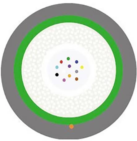 Ein Diagramm eines grauen Kreises mit grünem Rand und weißem Zentrum, das kleine, farbenfrohe Punkte enthält; es symbolisiert ein konzeptuelles Modell.